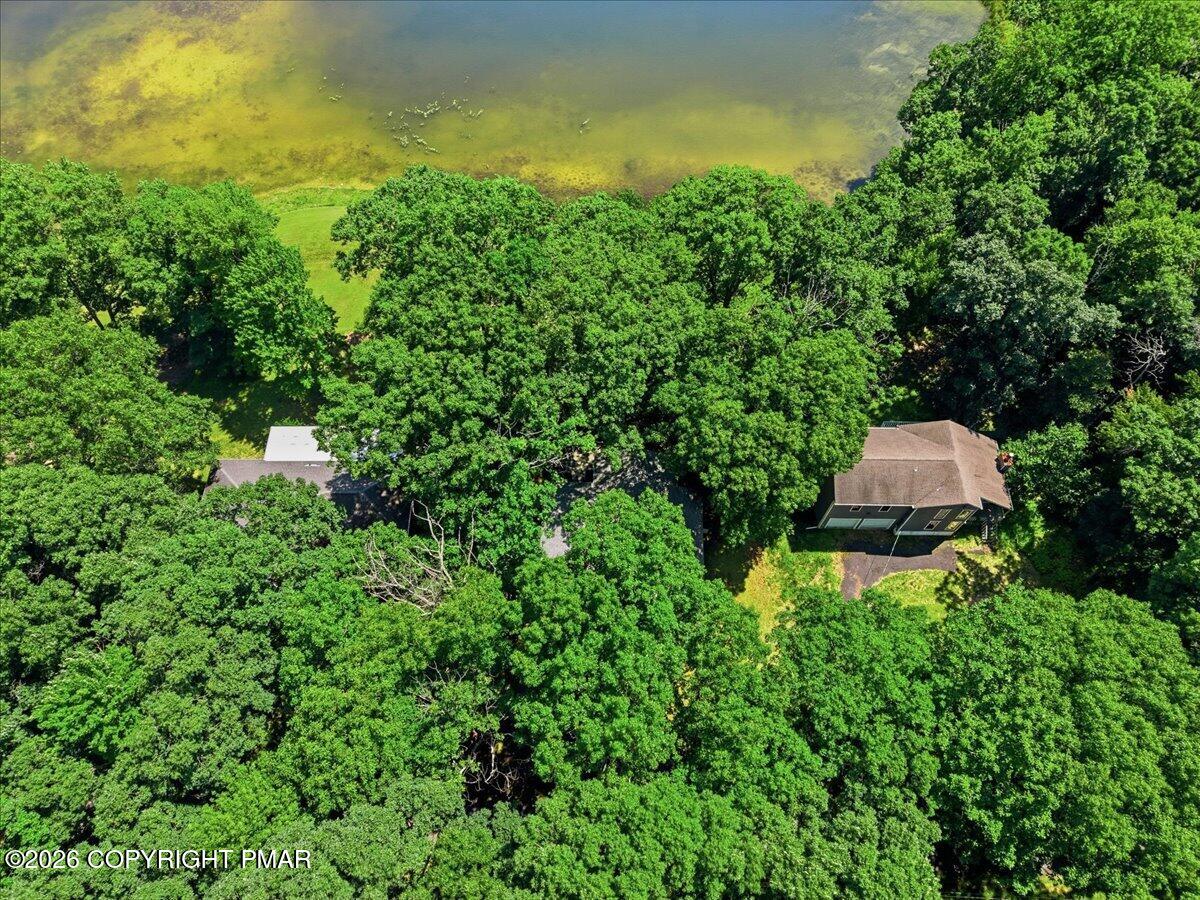 4203 Forest Drive Property Photo 49