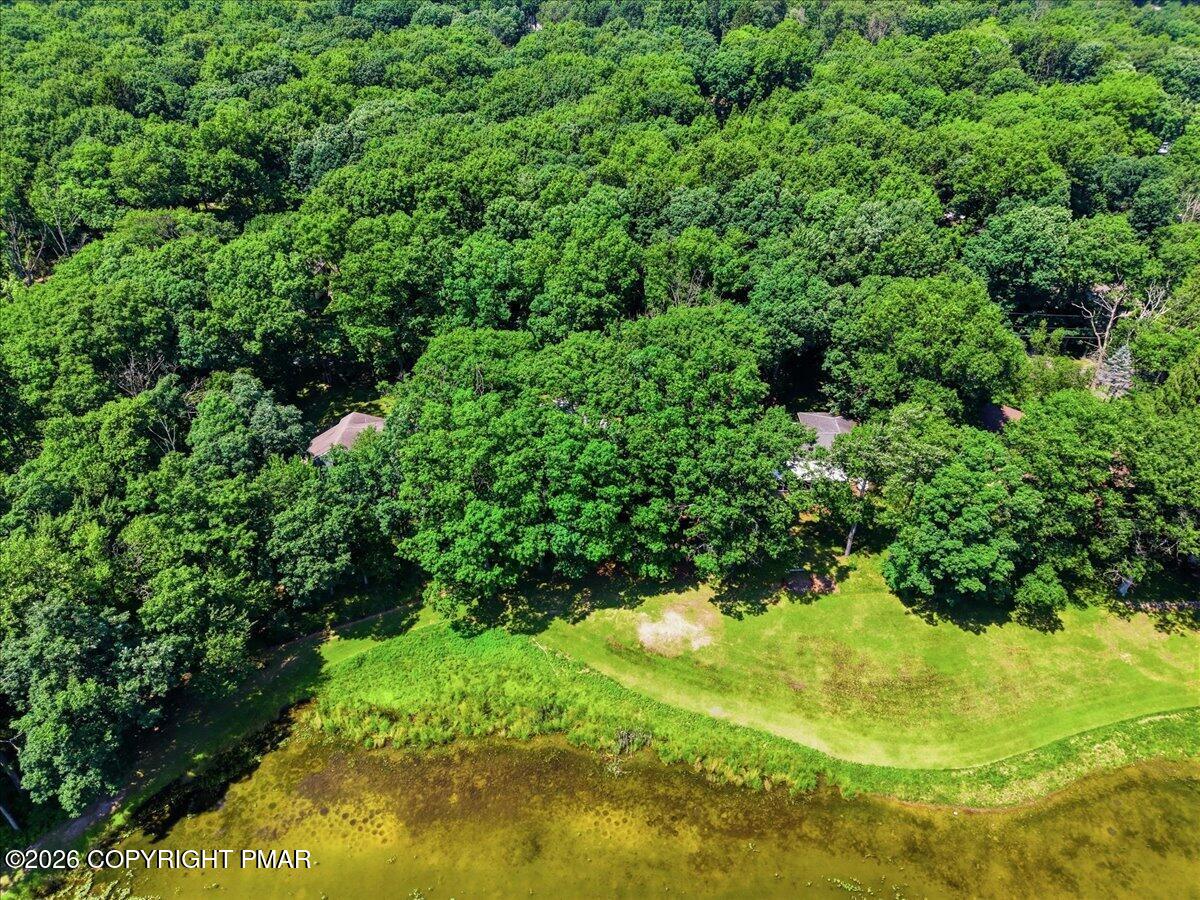 4203 Forest Drive Property Photo 51