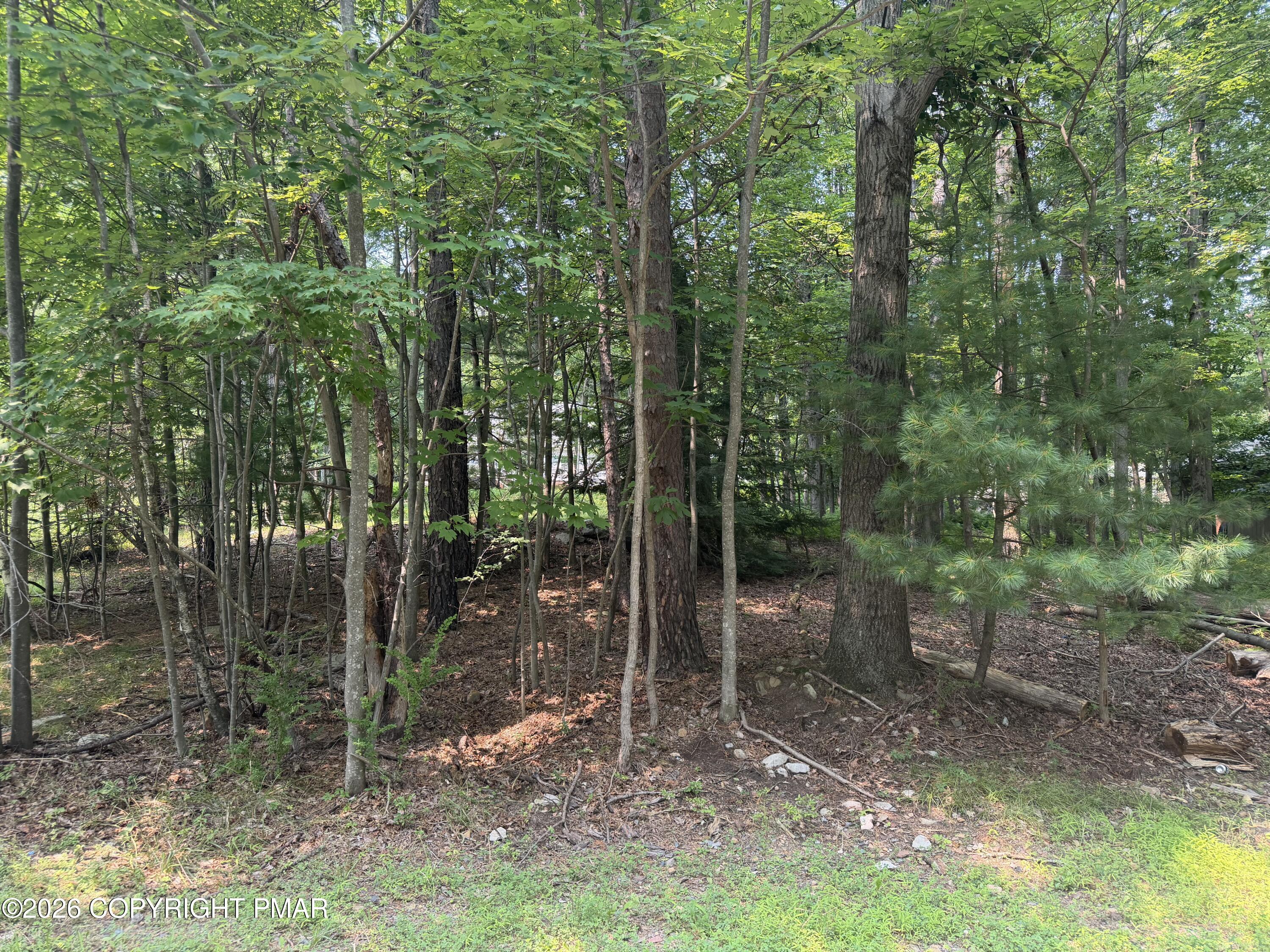 Twin Lake Dr D Drive Property Photo 3