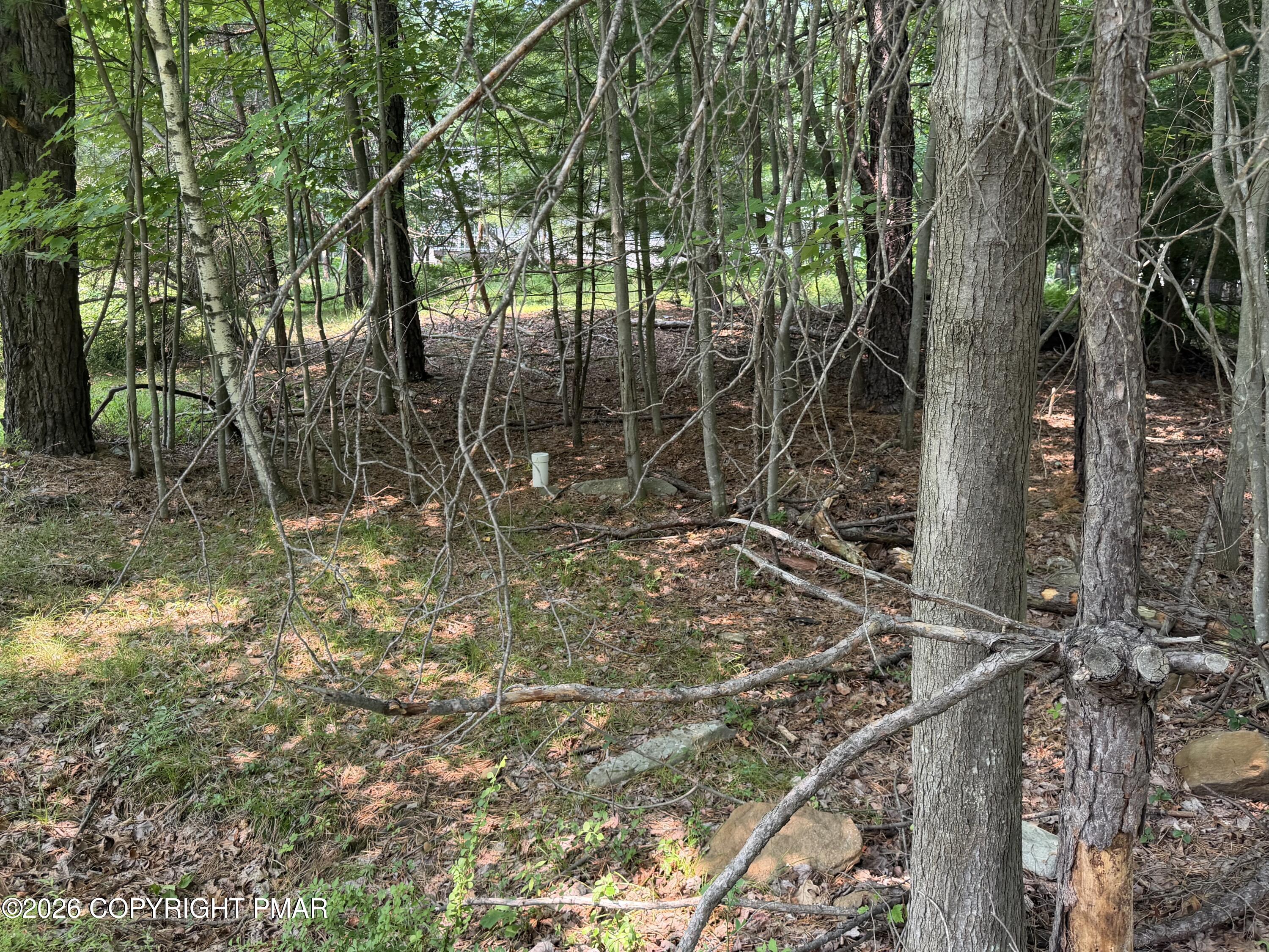 Twin Lake Dr D Drive Property Photo 6