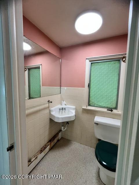 101 Knob Road Property Photo 14