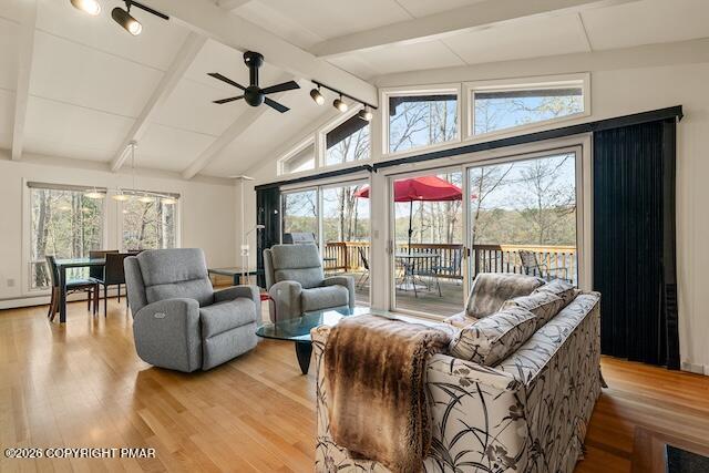 204 Forest Drive Property Photo 6