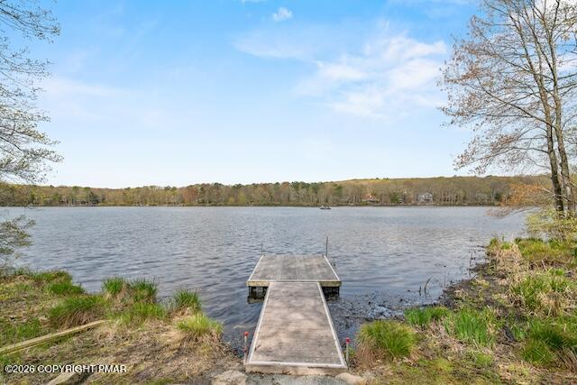 204 Forest Drive Property Photo 35