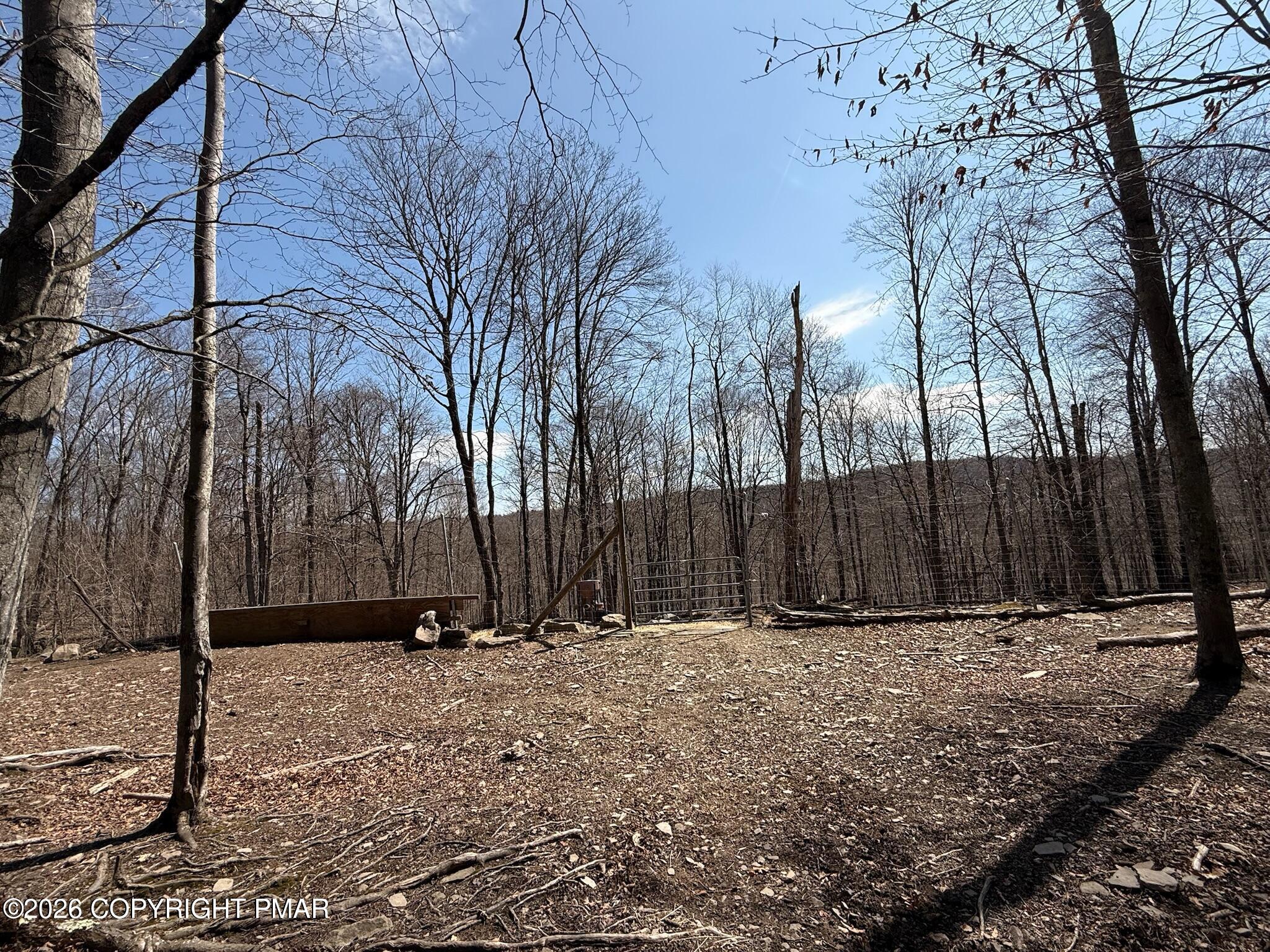 Blum Road Property Photo 2