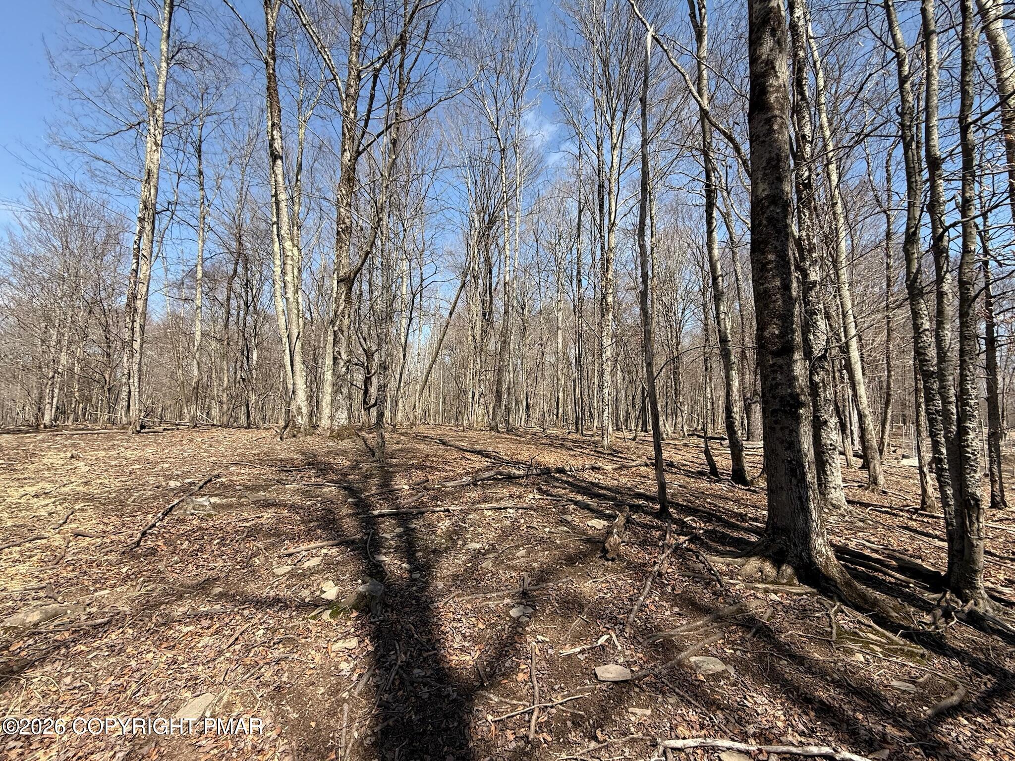 Blum Road Property Photo 3
