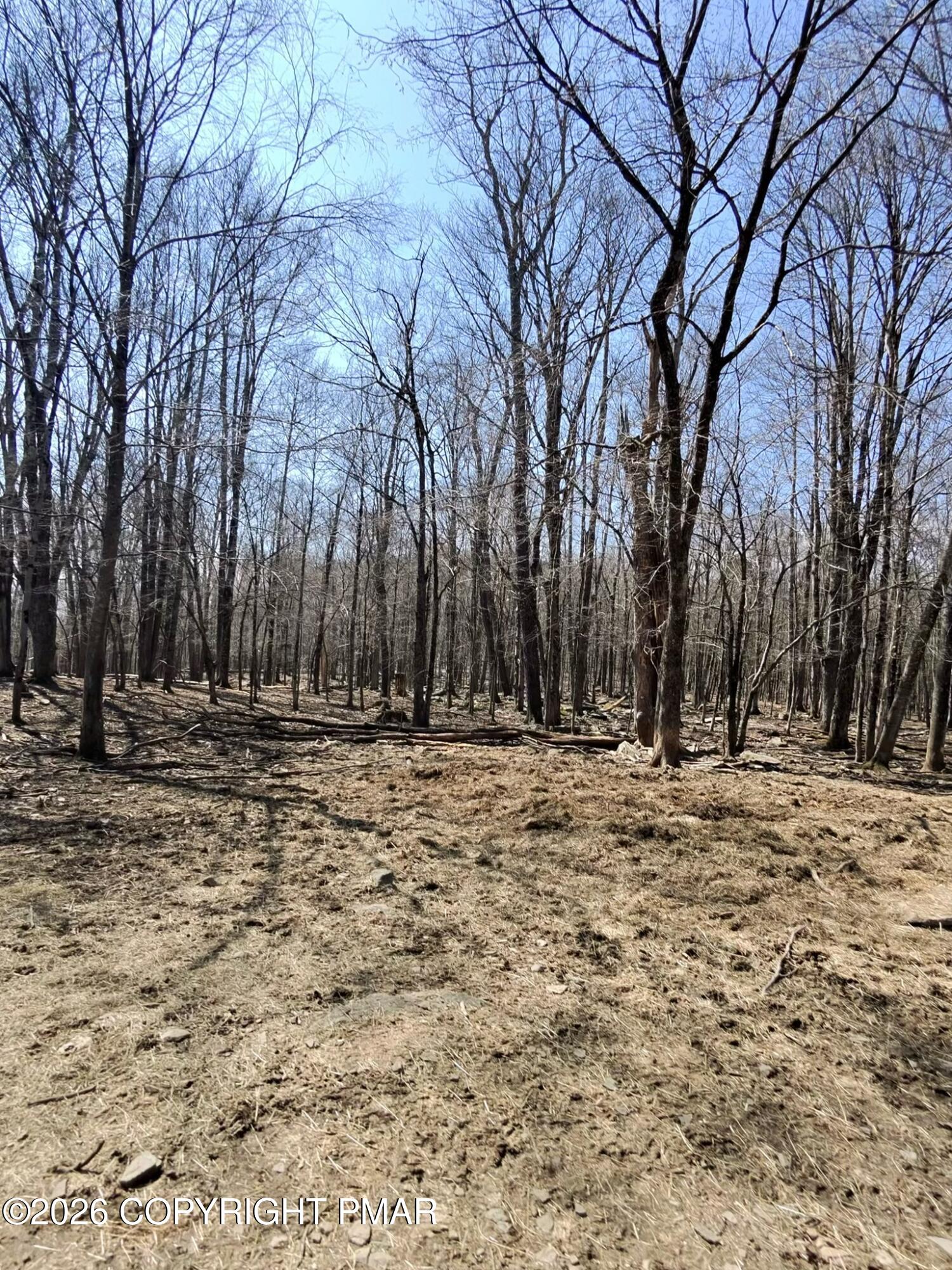 Blum Road Property Photo 7