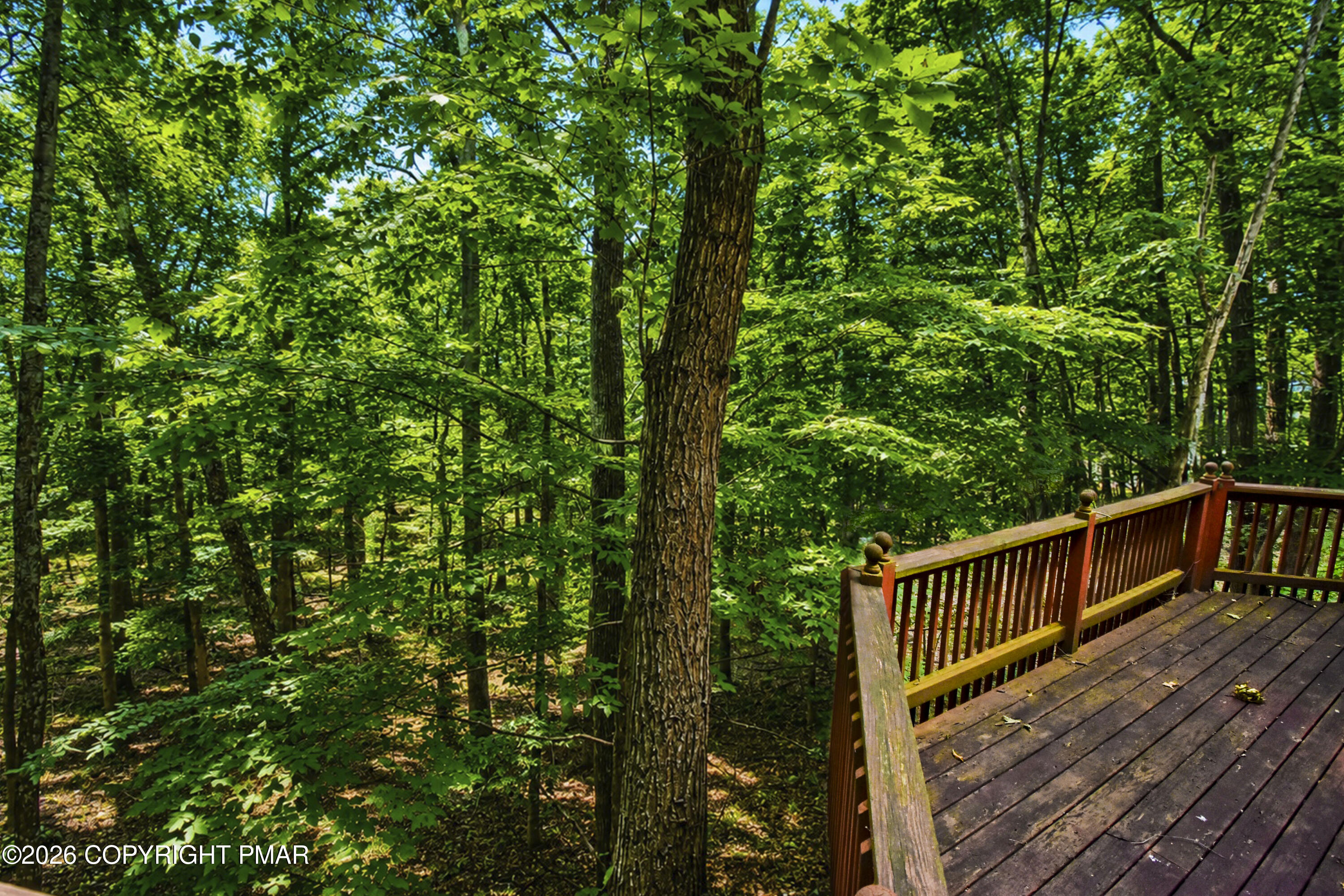 123 Wedge Court Property Photo 60