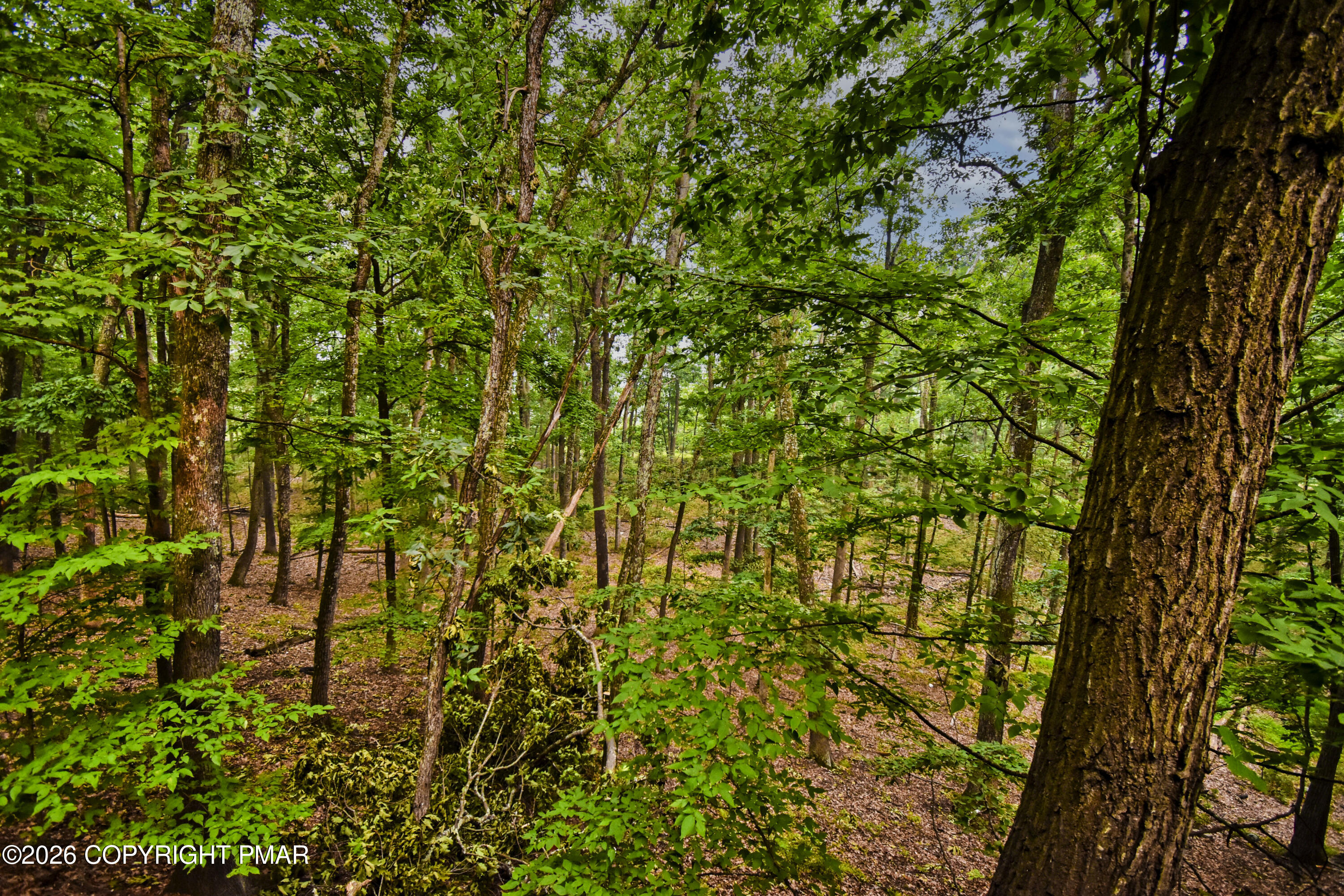 123 Wedge Court Property Photo 61