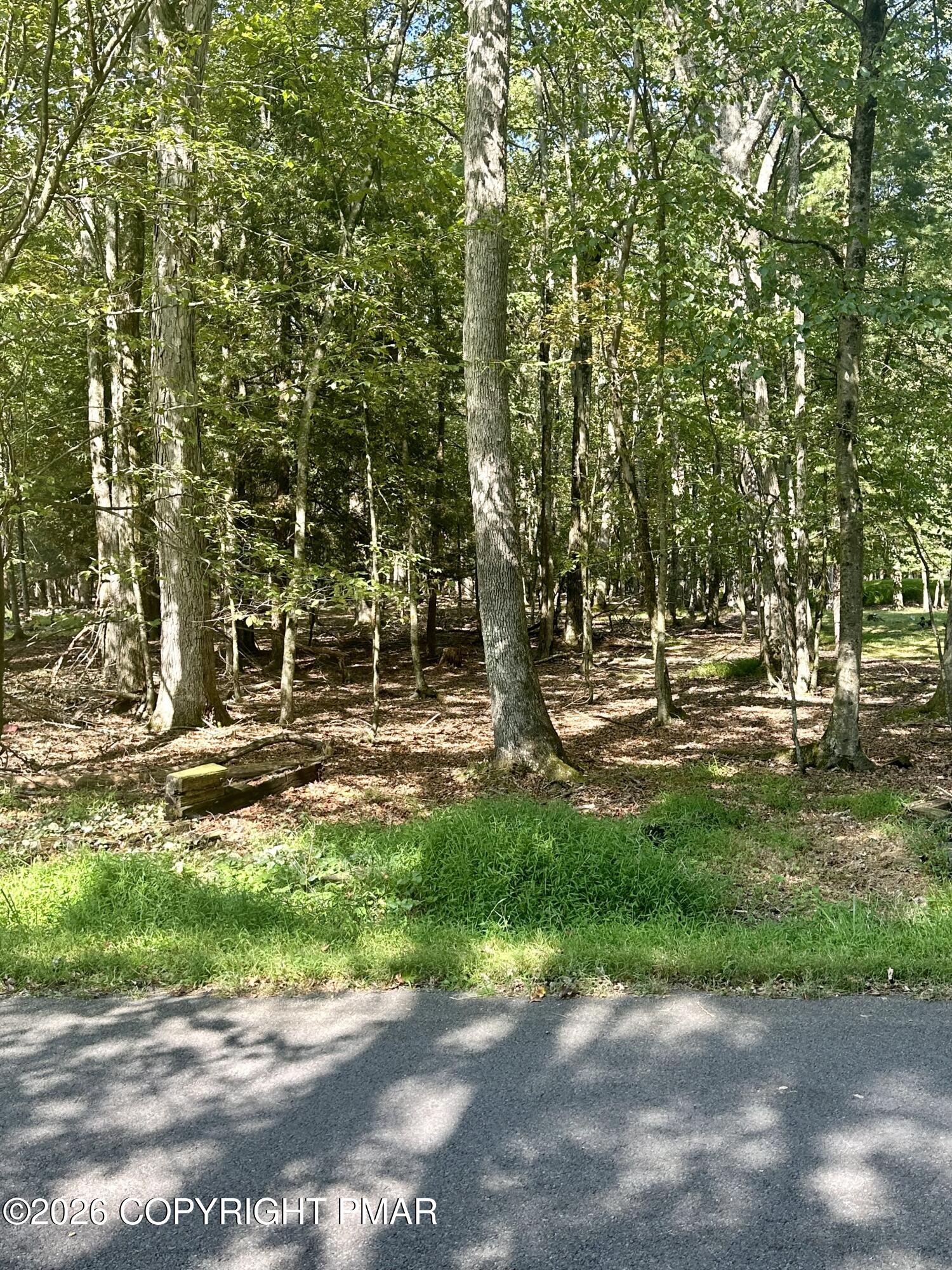 Mansi Drive Property Photo 3