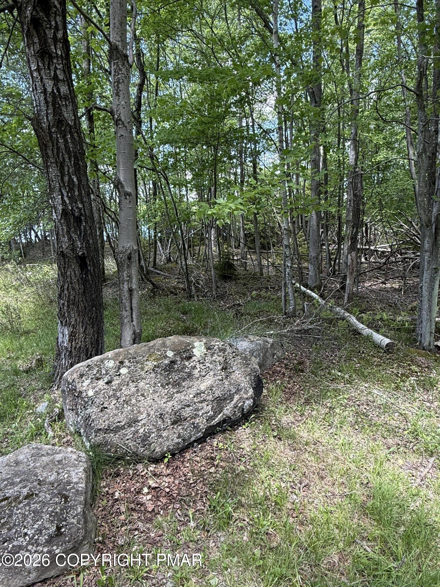 N Arrow Drive Property Photo 2