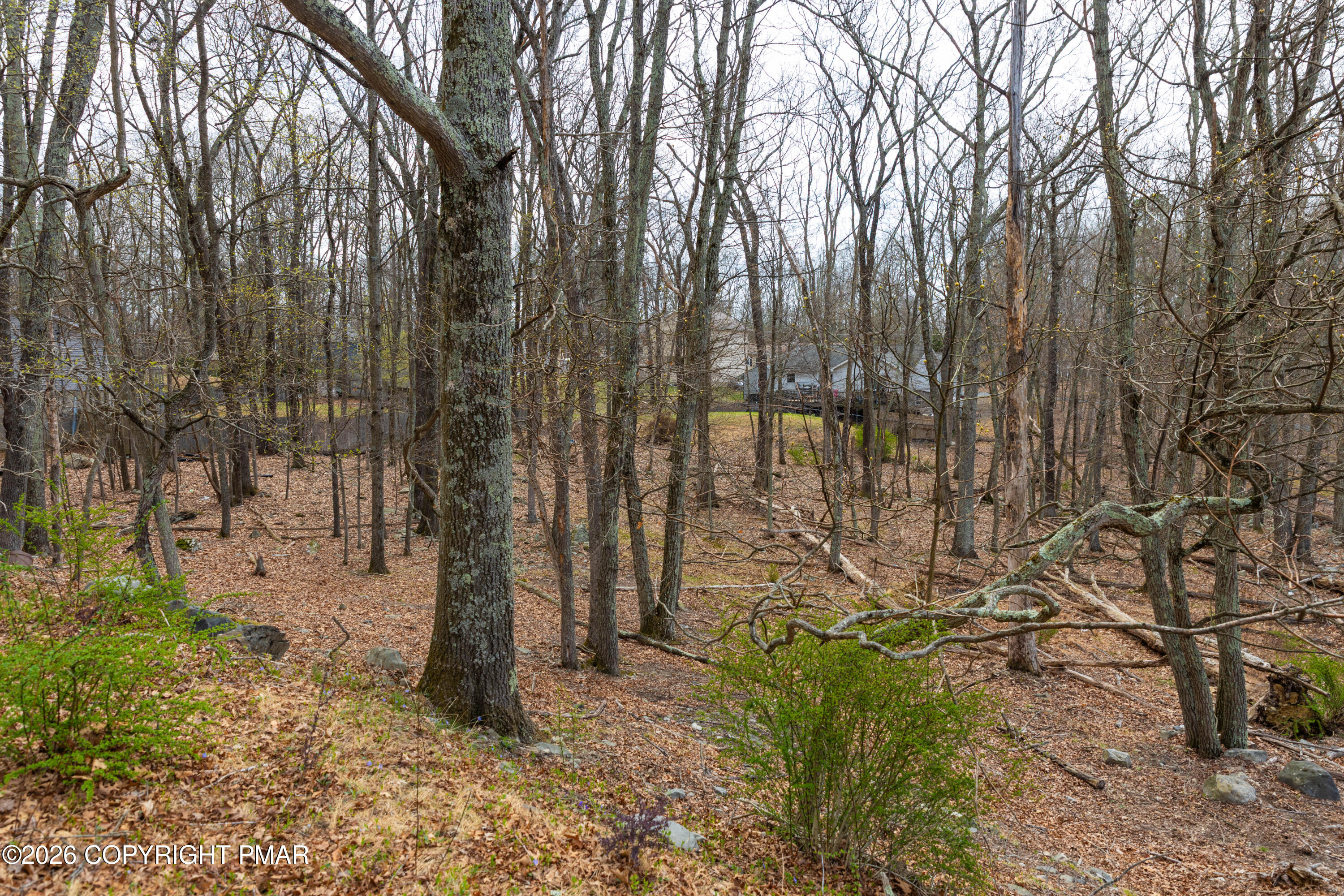 Seneca Road Property Photo 7