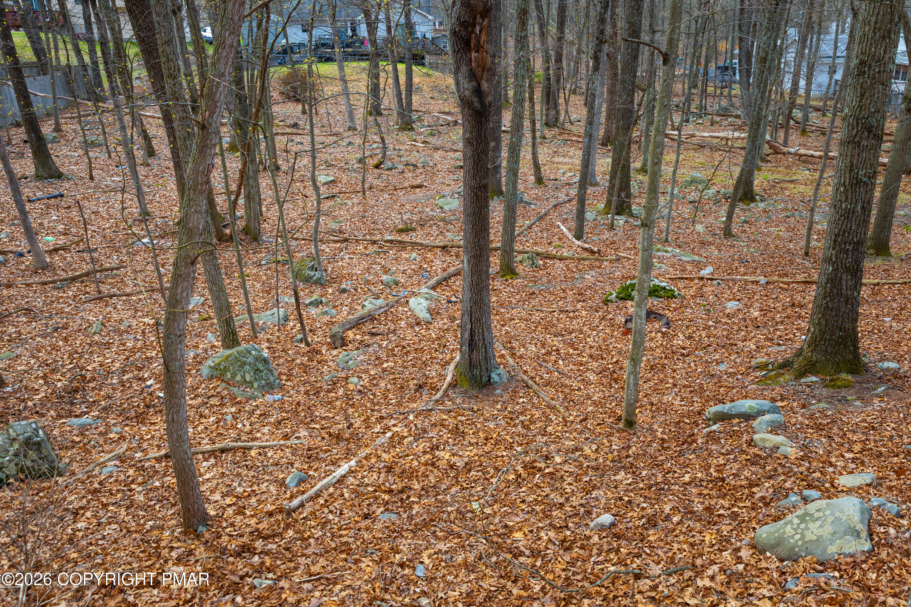 Seneca Road Property Photo 10