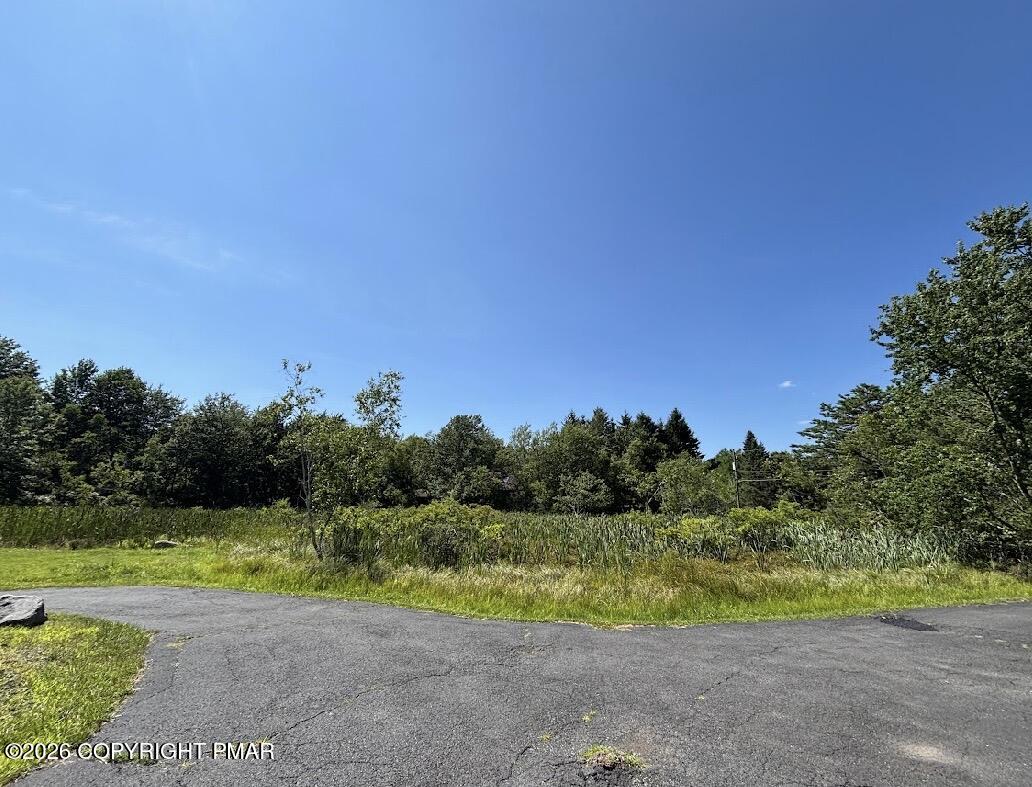 294 Ash Drive Property Photo 5
