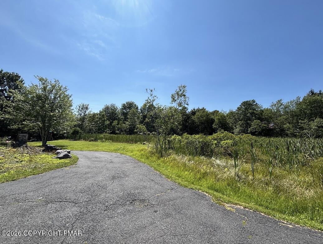 294 Ash Drive Property Photo 6