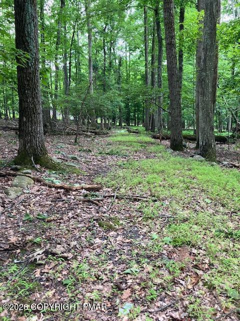 3302 Pocono Drive Property Photo 6