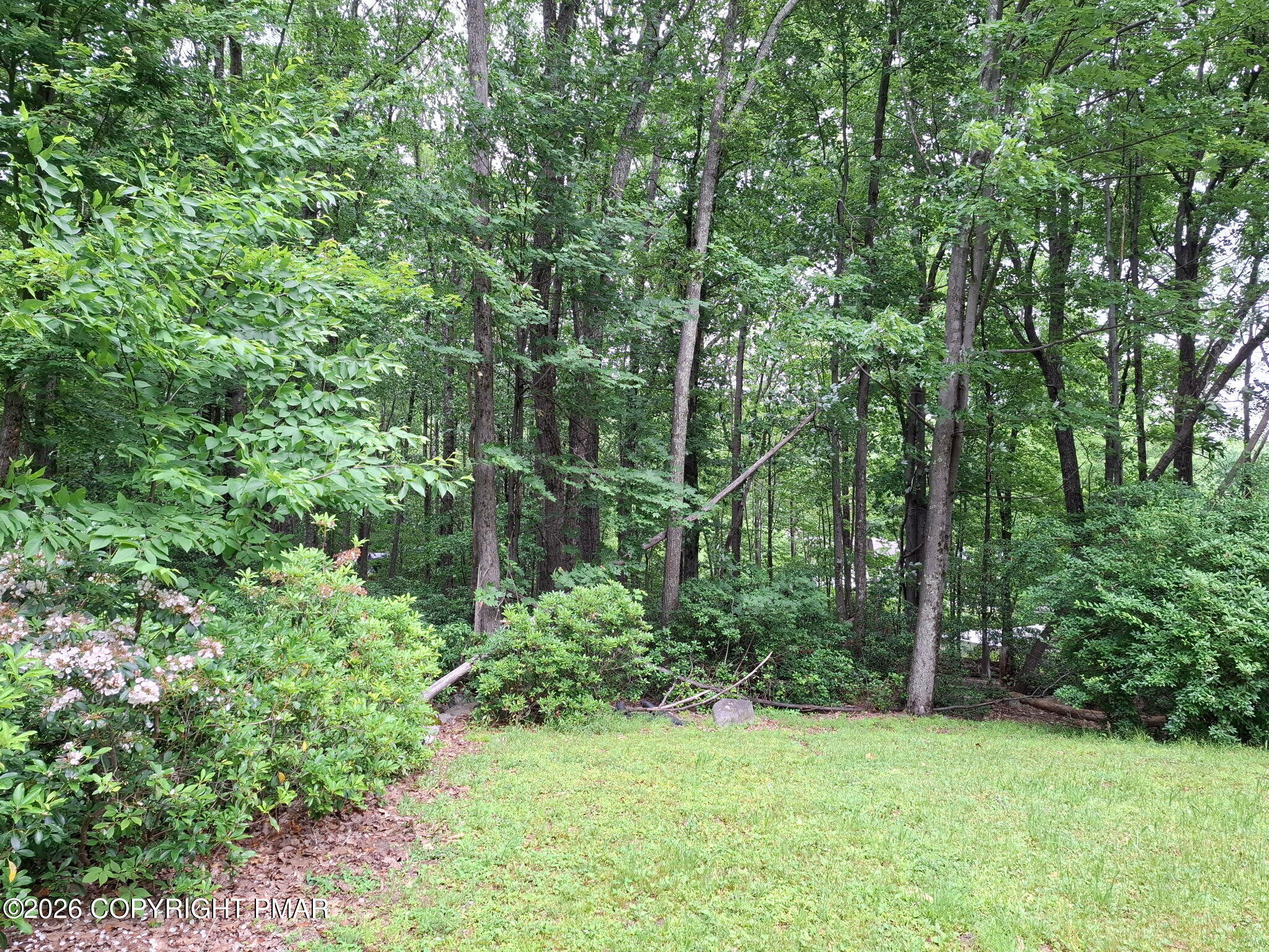 56 Holly Forest Road Property Photo 8