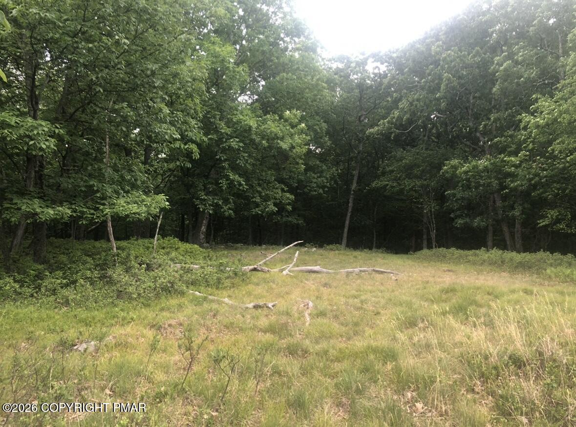 69 & 70 Panda Lane Property Photo 1