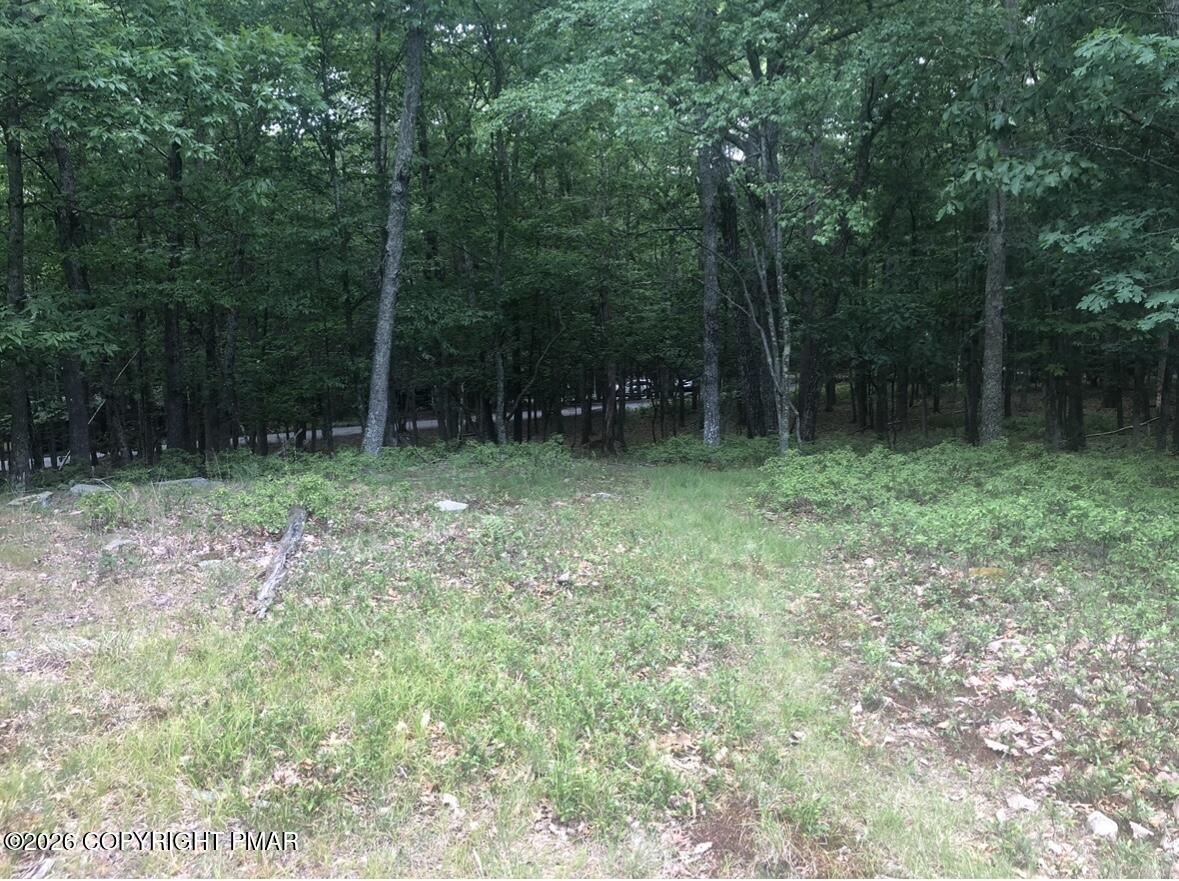 69 & 70 Panda Lane Property Photo 2