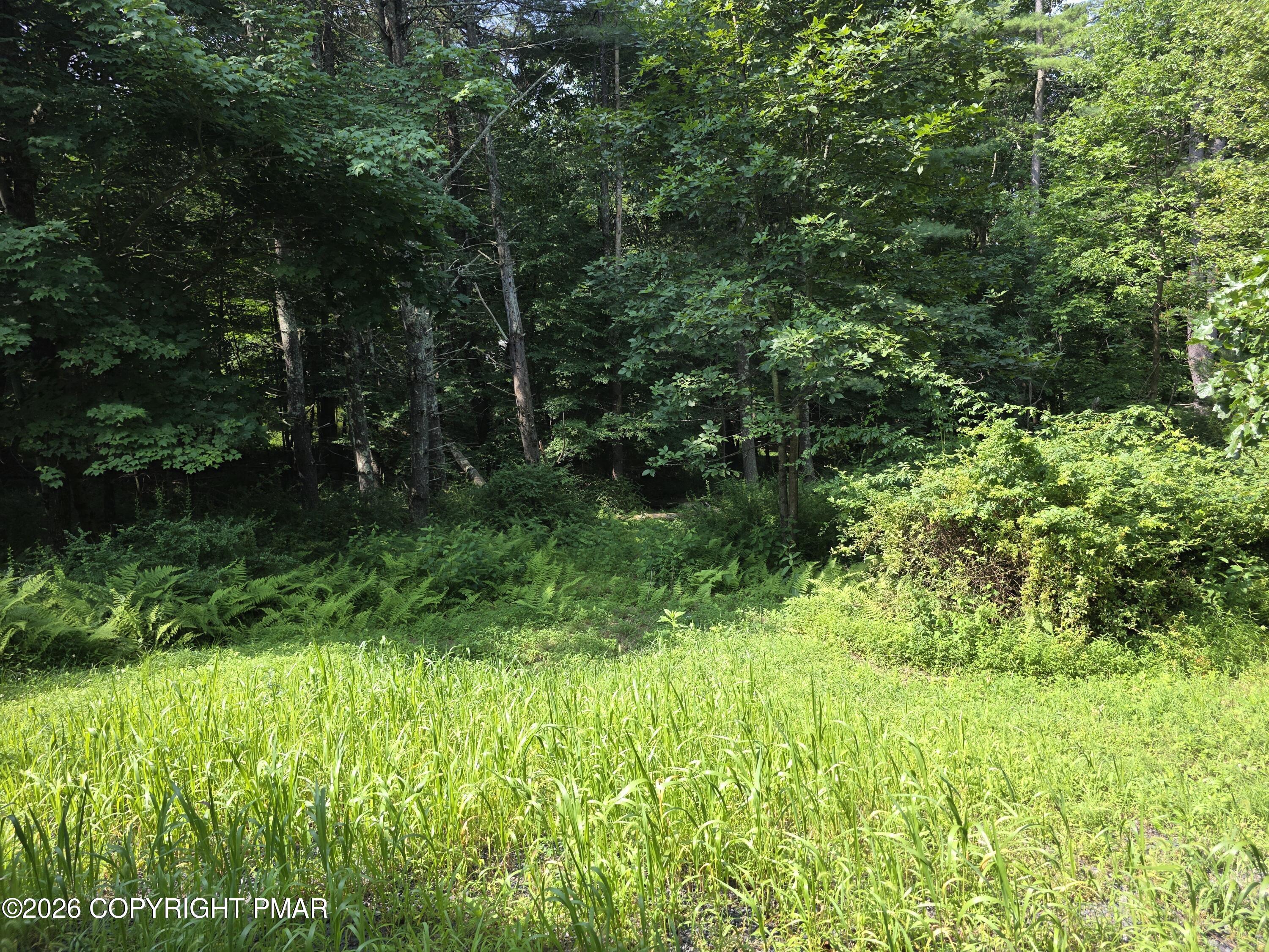 567 Big Egypt Road Property Photo 24