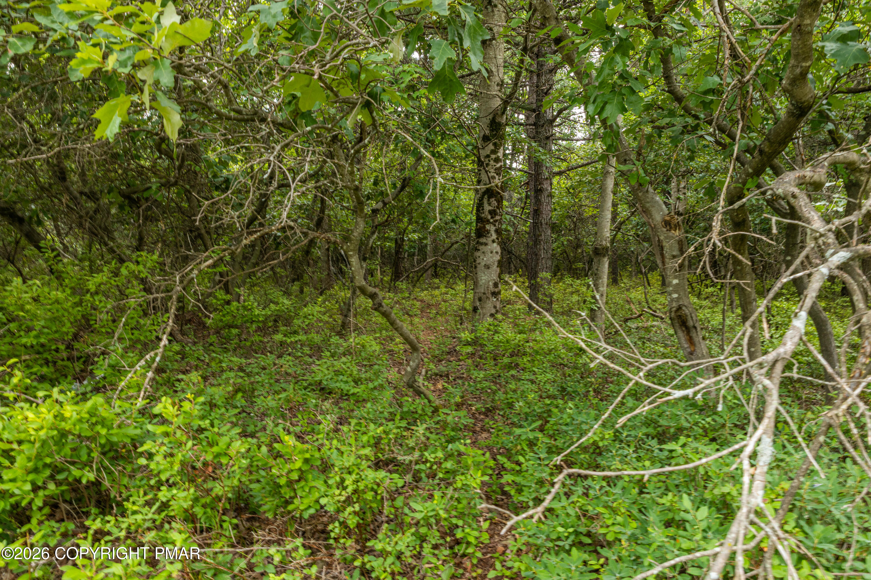 Yellowstone Drive Property Photo 8