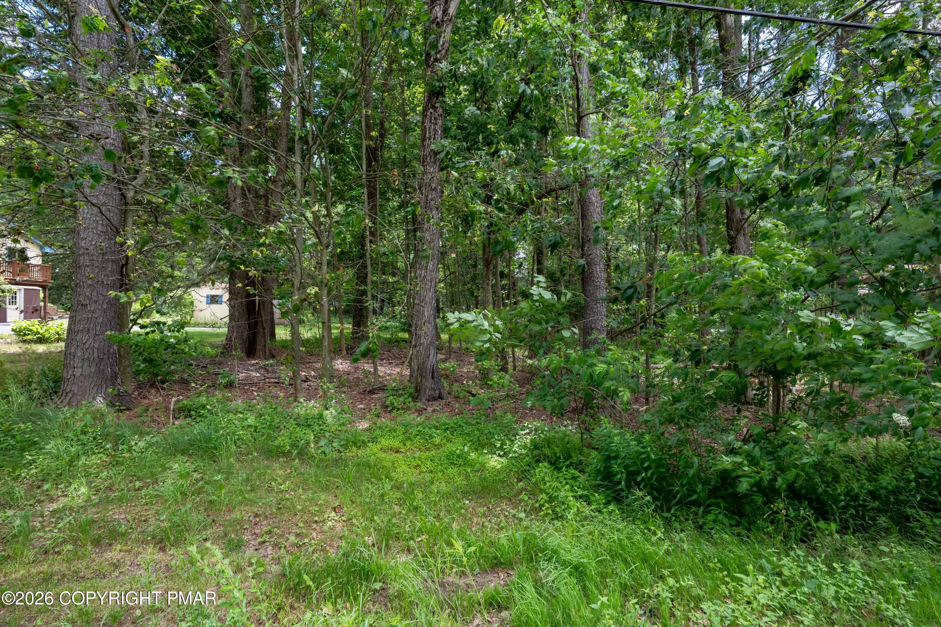 Beechwood Rd 5 Property Photo 6
