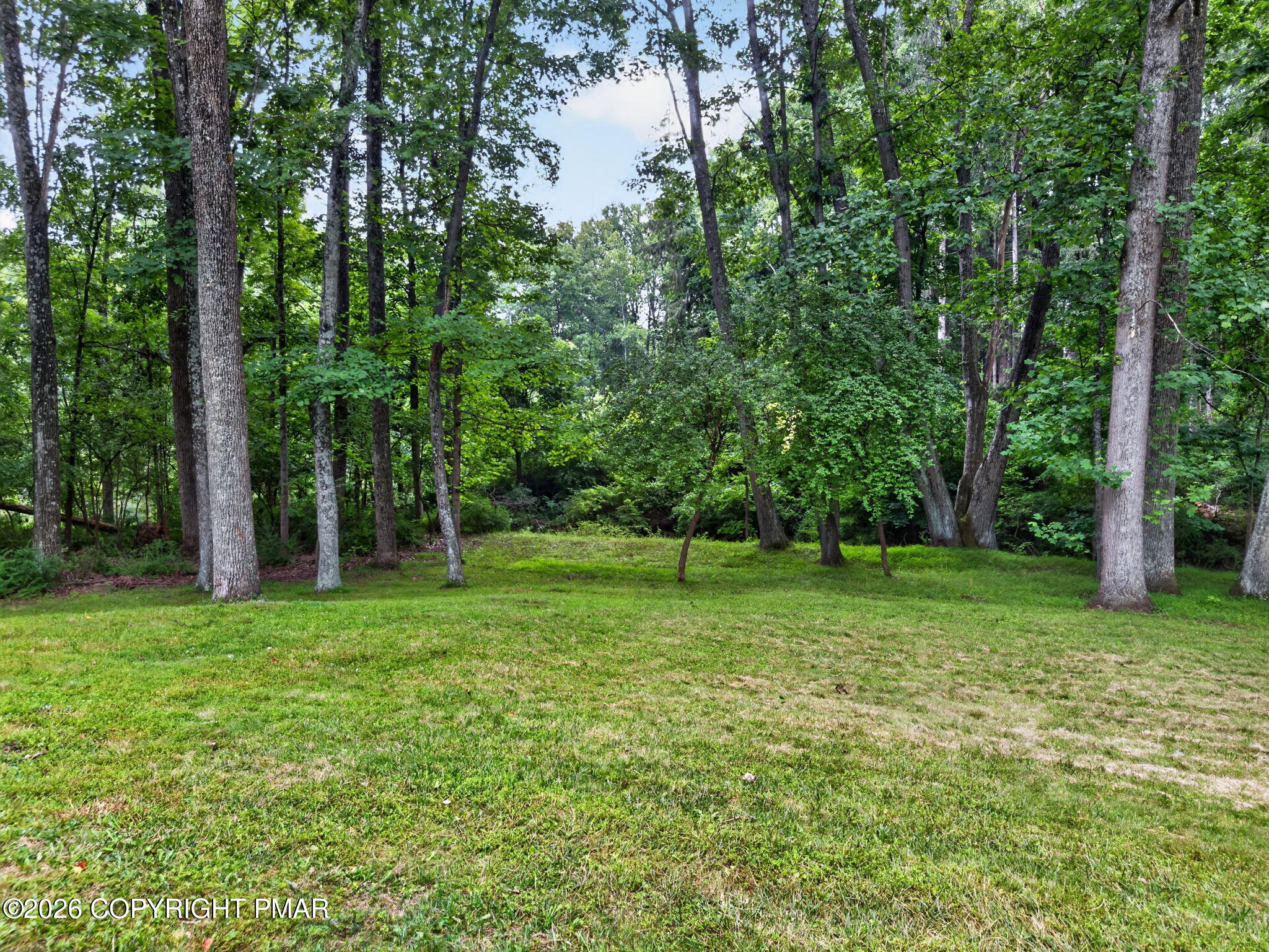 203 Ruth Street Property Photo 46