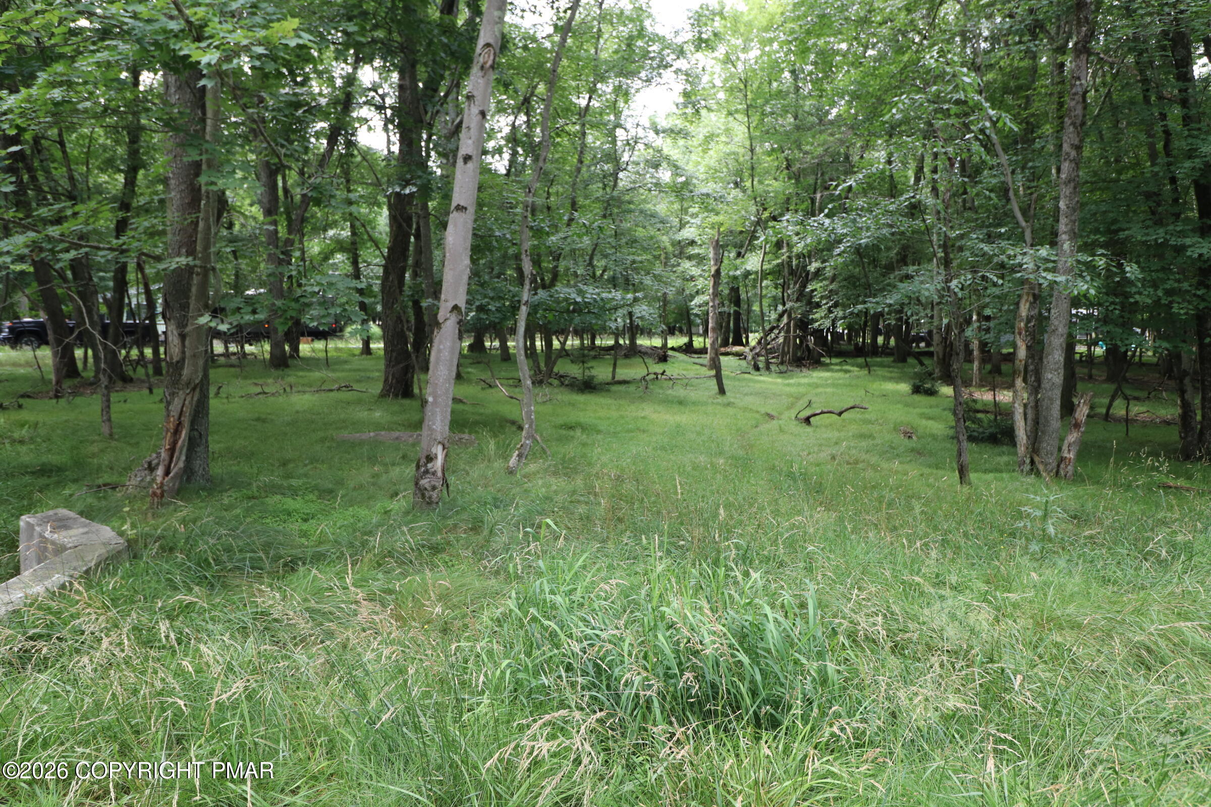 Long Brook Way & Woodland Road Property Photo 3