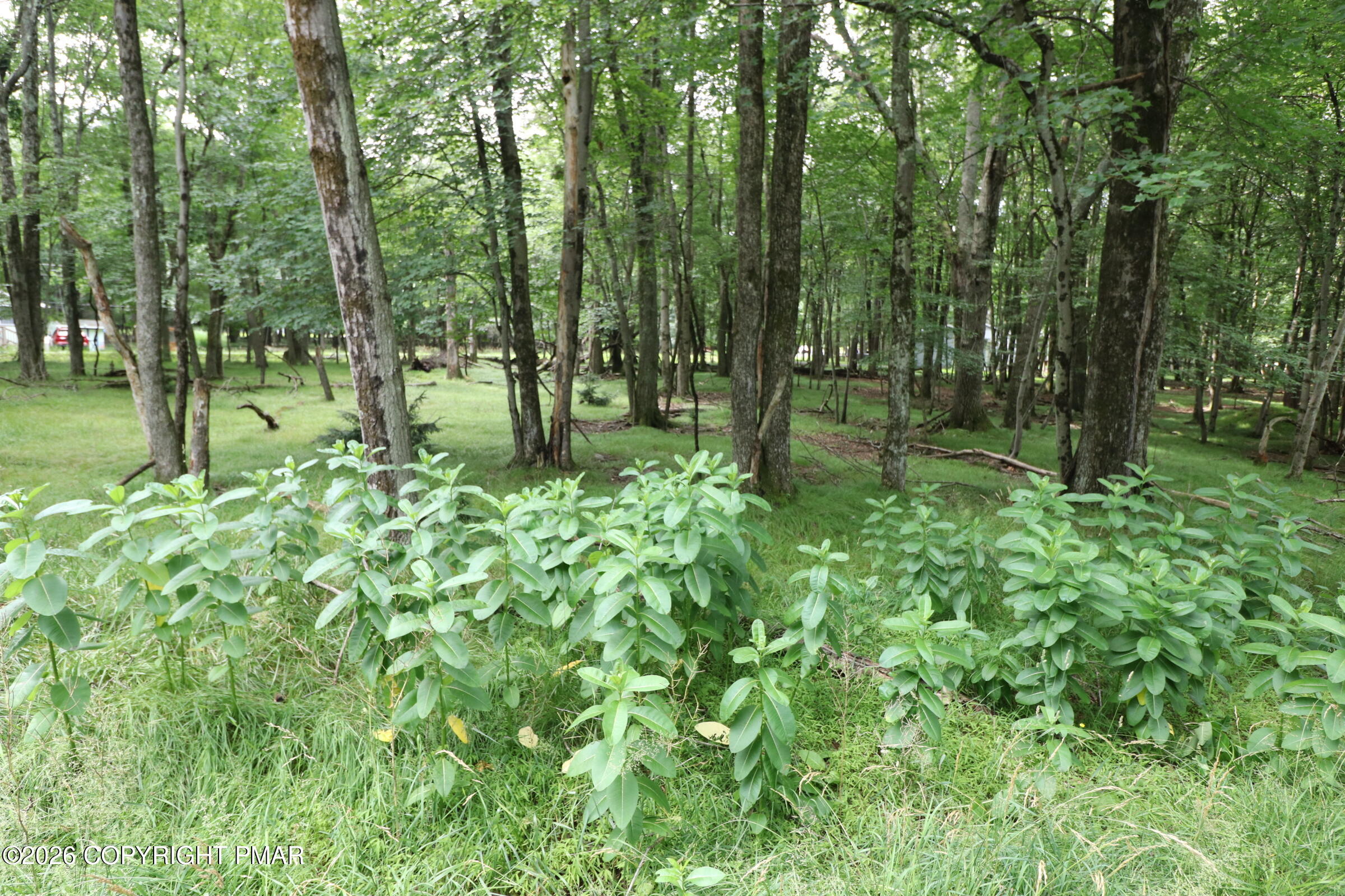Long Brook Way & Woodland Road Property Photo 4