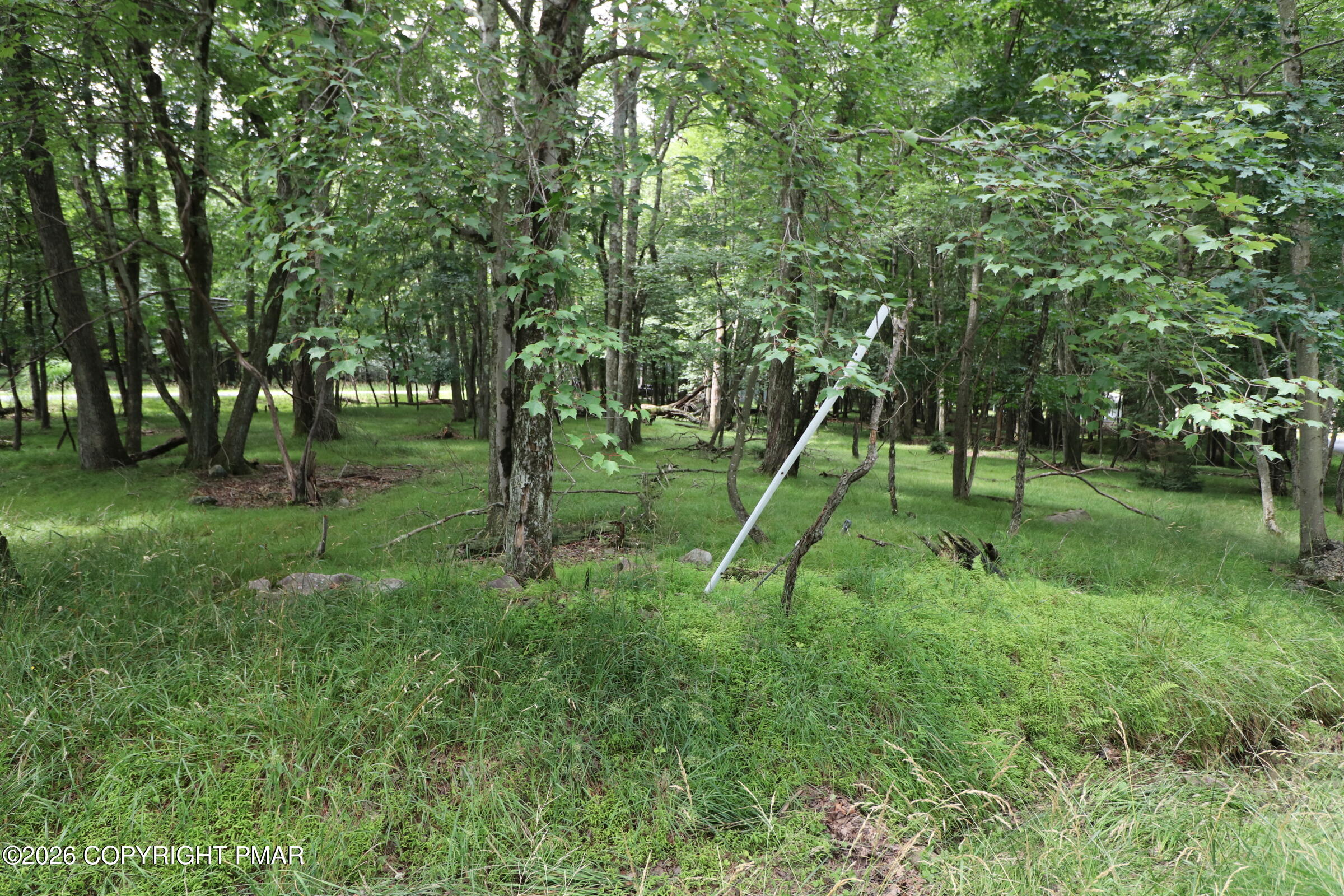 Long Brook Way & Woodland Road Property Photo 6