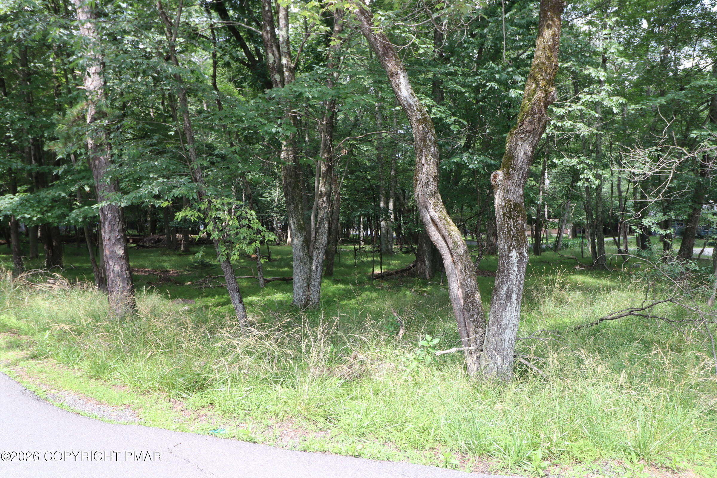 Long Brook Way & Woodland Road Property Photo 8