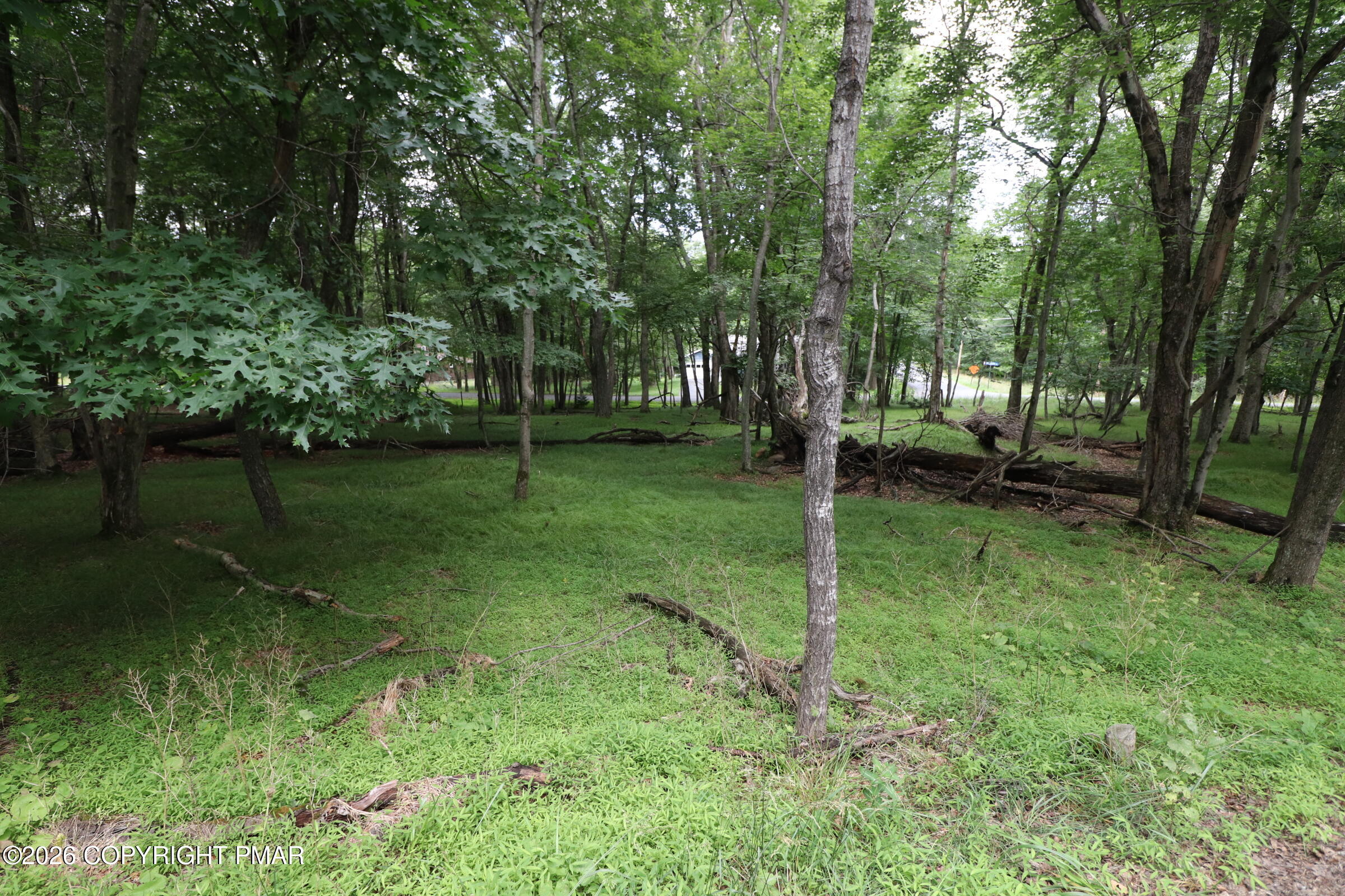 Long Brook Way & Woodland Road Property Photo 12