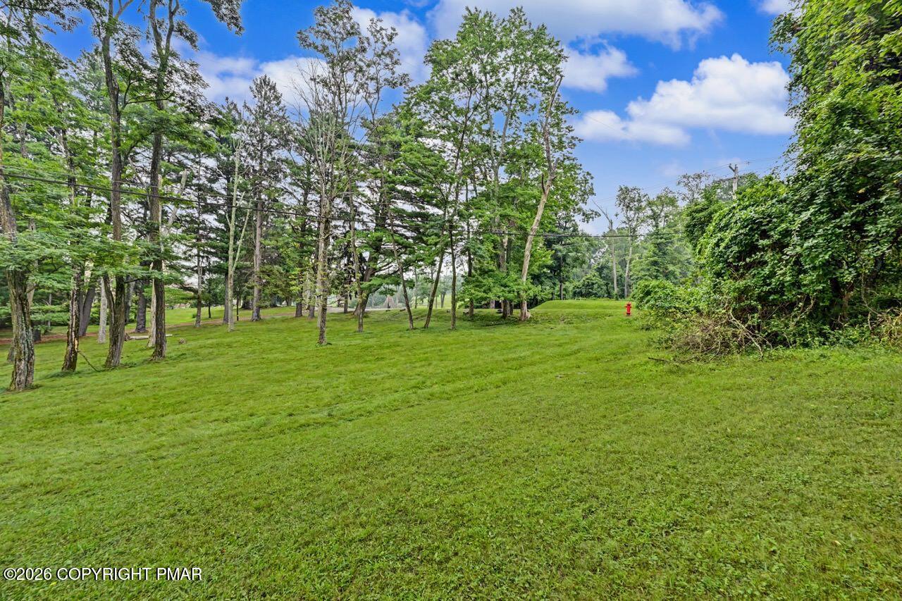 239 Meadowside Road Property Photo 73