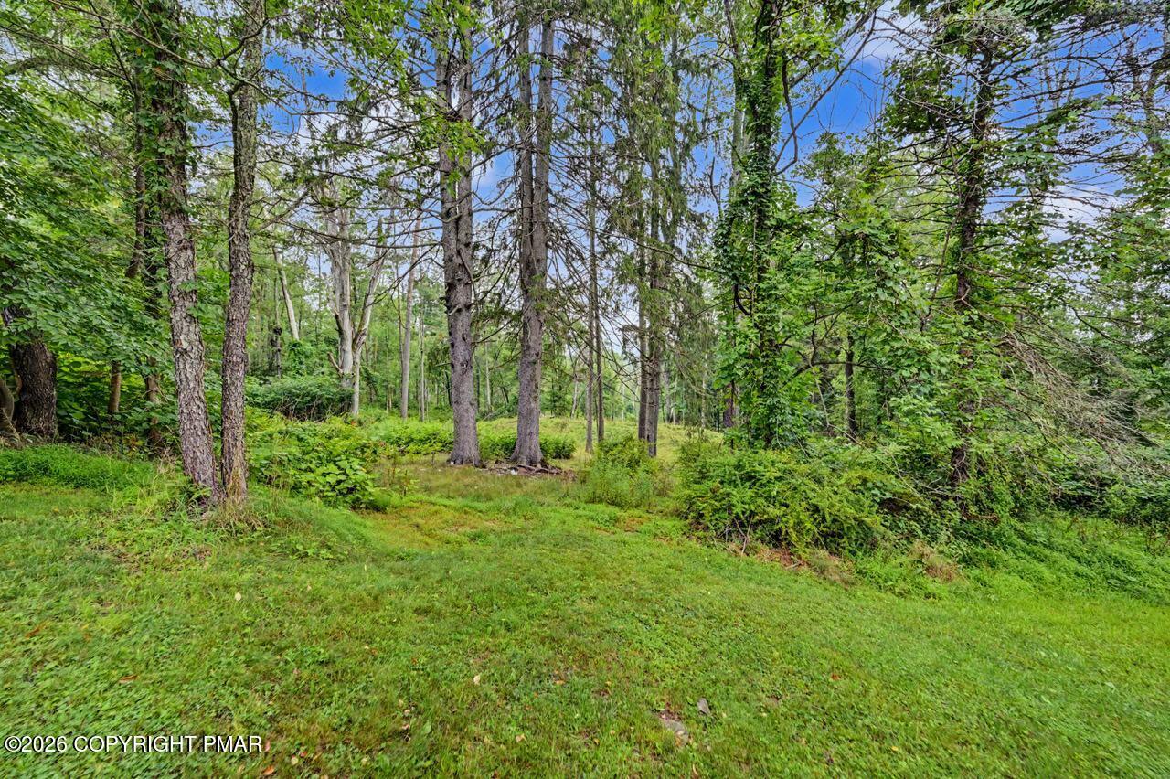 239 Meadowside Road Property Photo 75