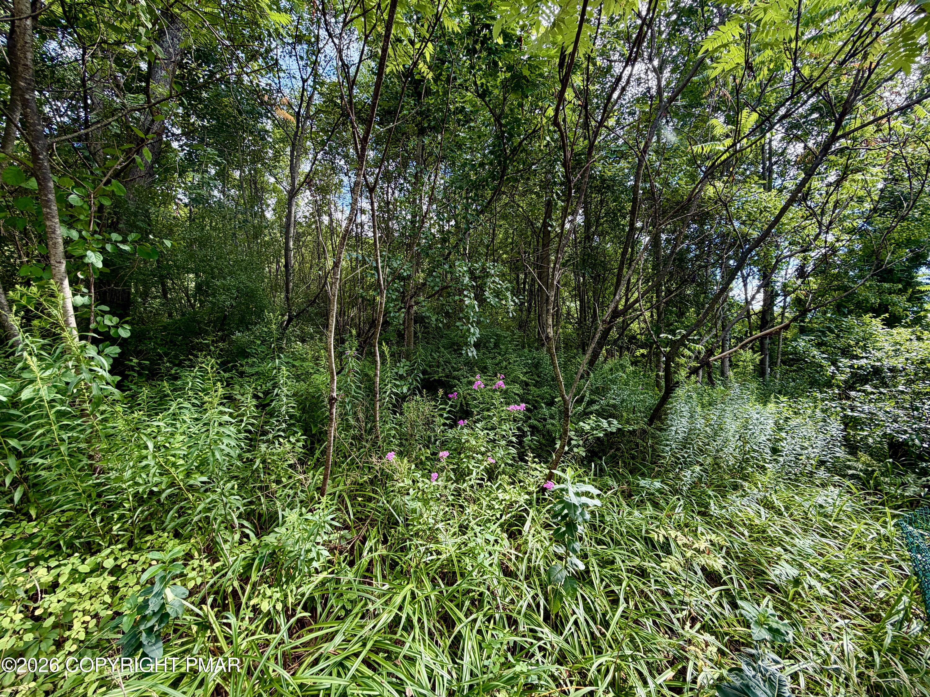 Stock Street Property Photo 1