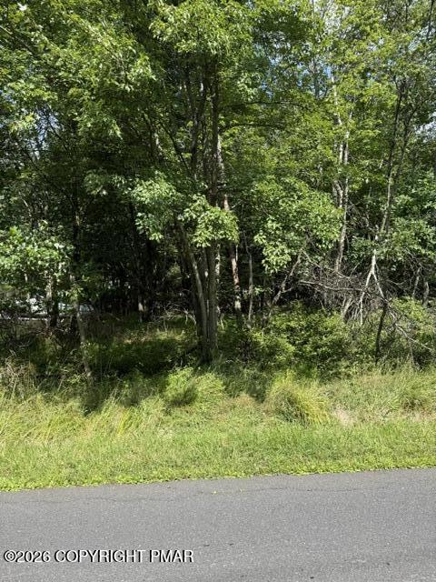 697 Clearview Drive Property Photo 2