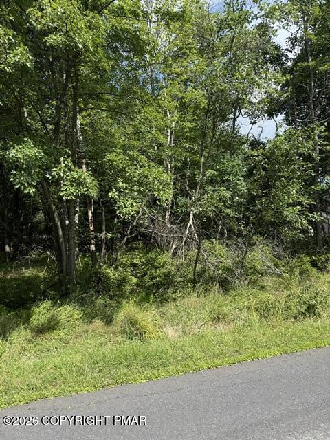 697 Clearview Drive Property Photo 3