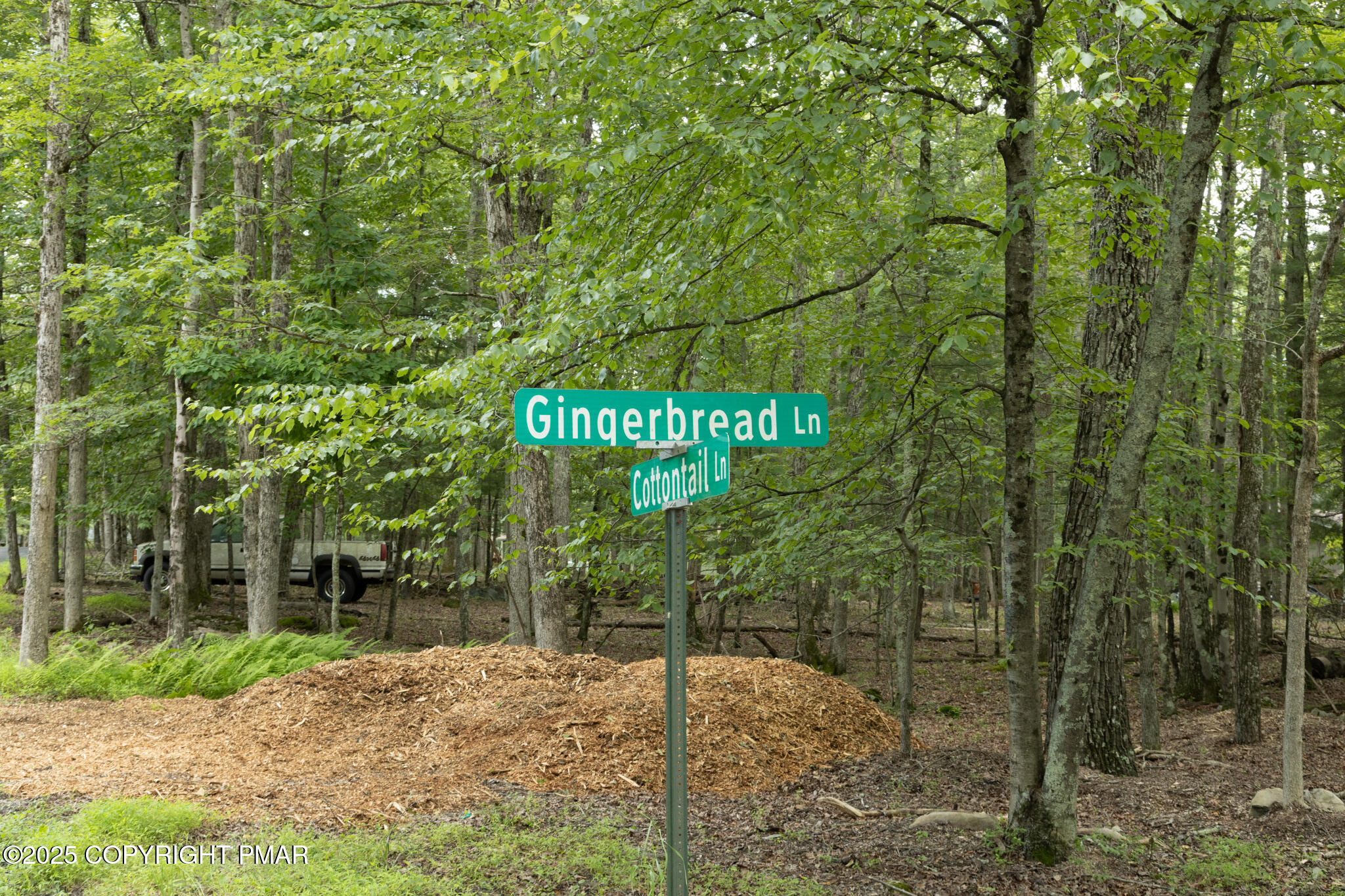 0 Gingerbread Ln 58 Property Photo 8