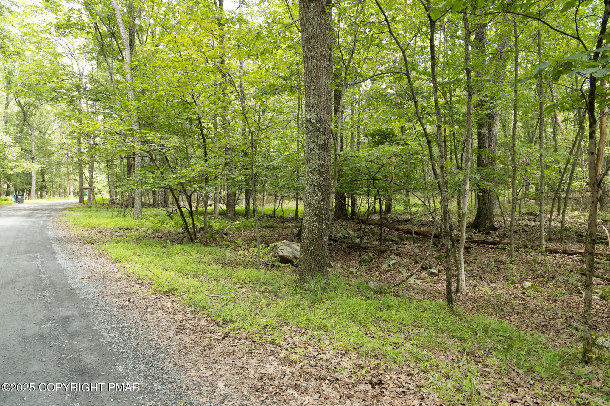 0 Gingerbread Ln 58 Property Photo 12