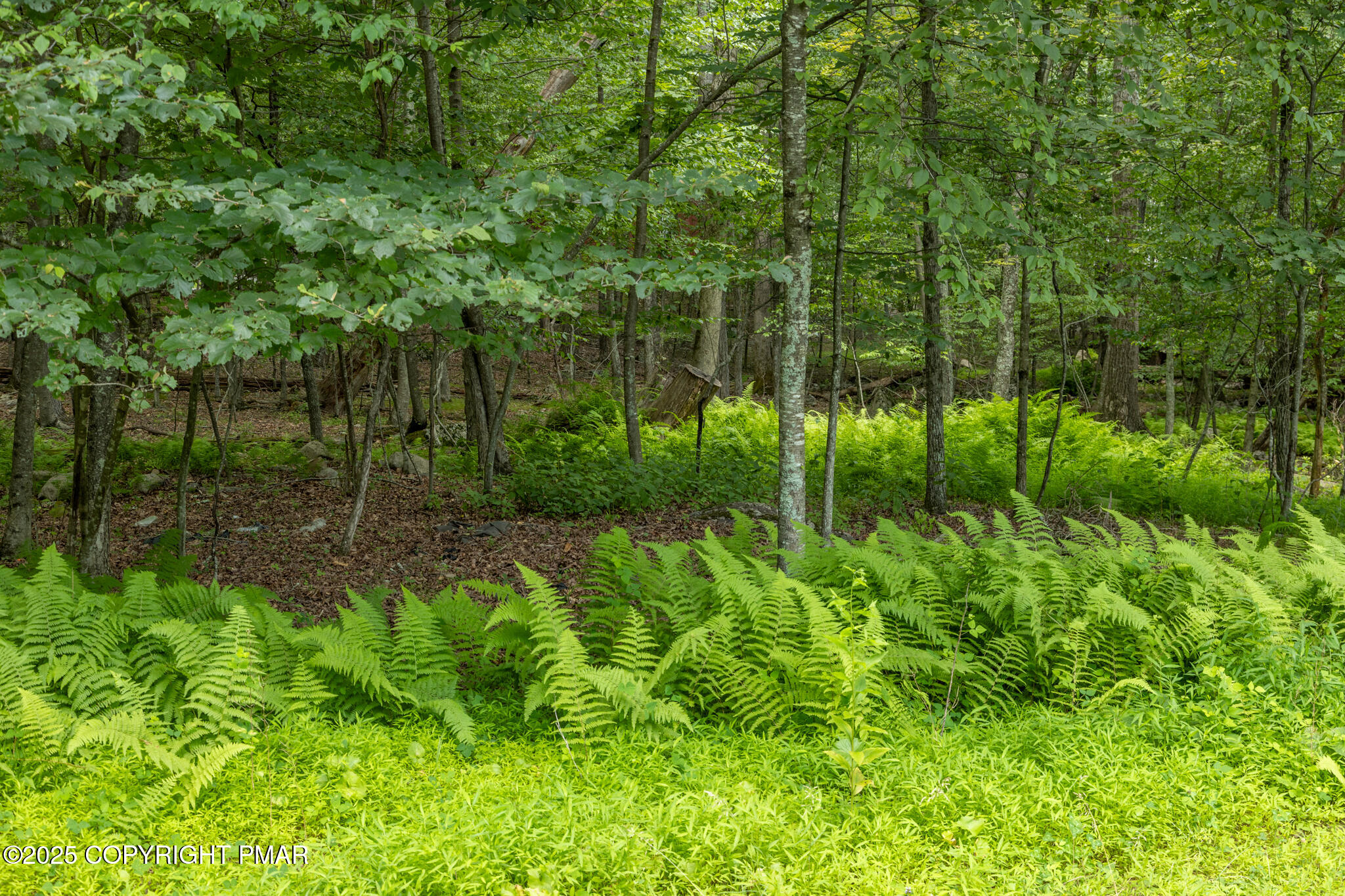 0 Talon Trl 35 Property Photo 9