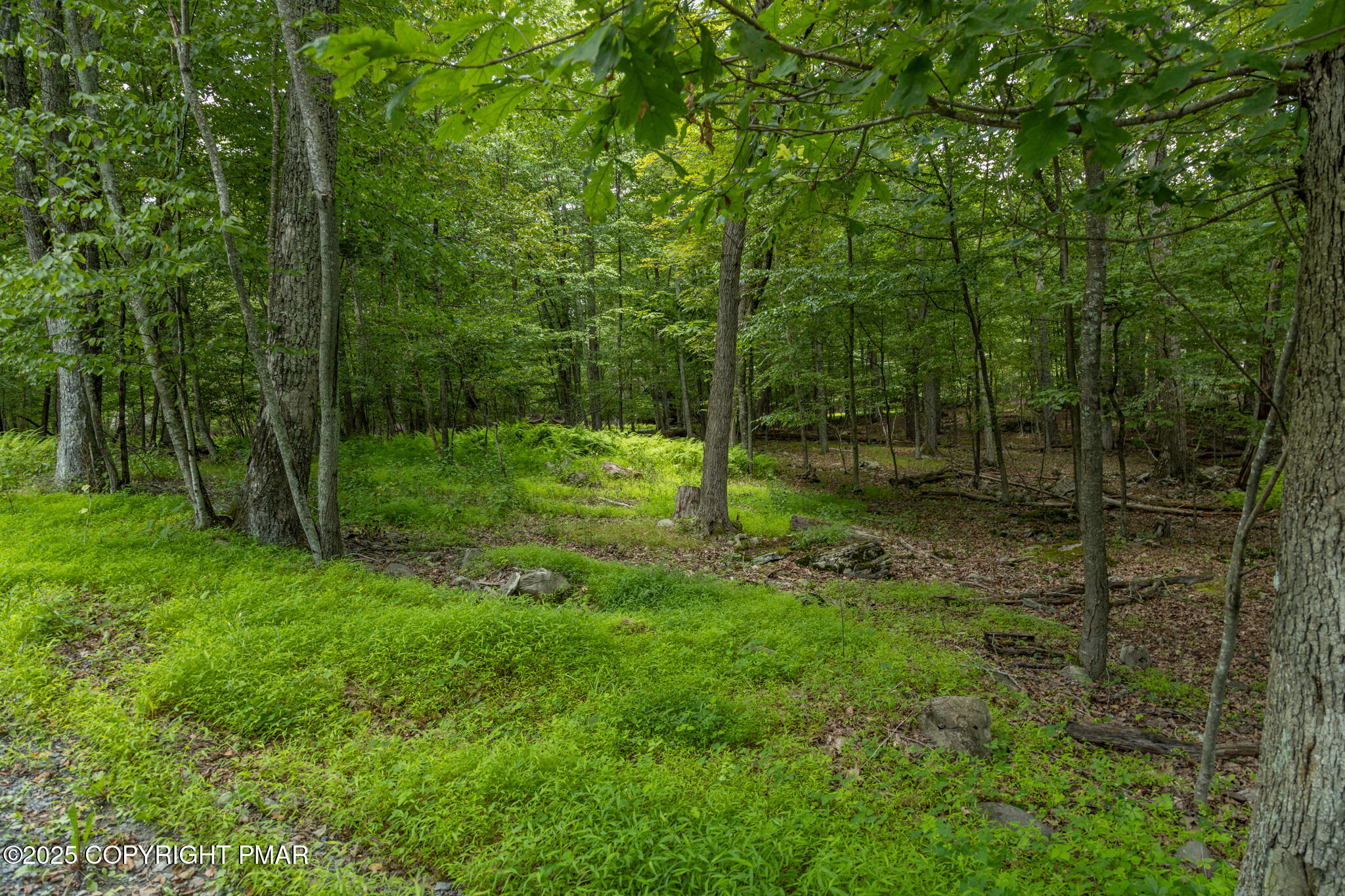 0 Talon Trl 35 Property Photo 10