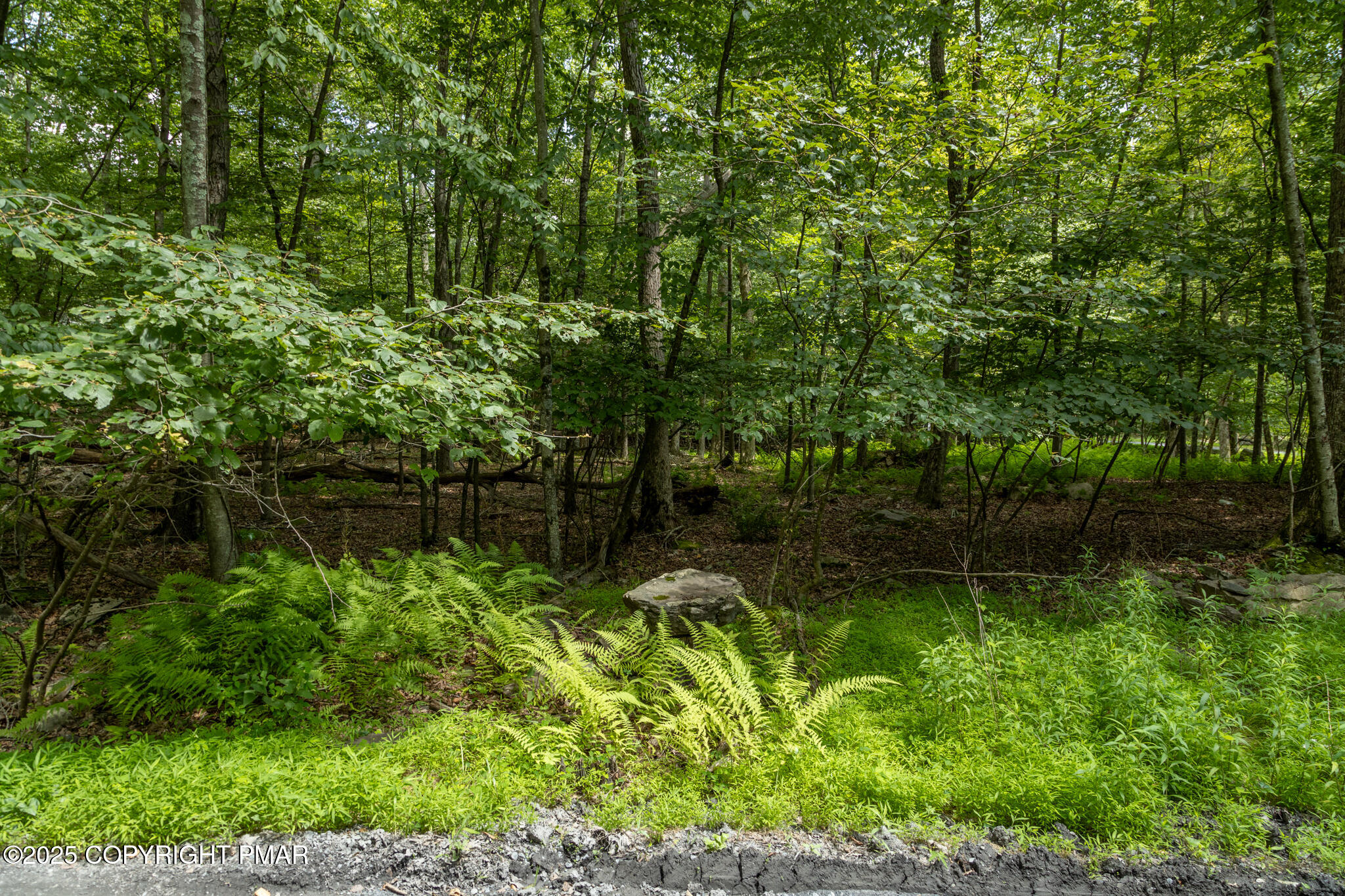 0 Talon Trl 35 Property Photo 11