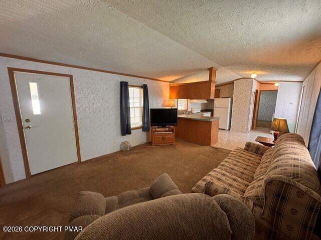 3 Blue Mountain View Property Photo 4