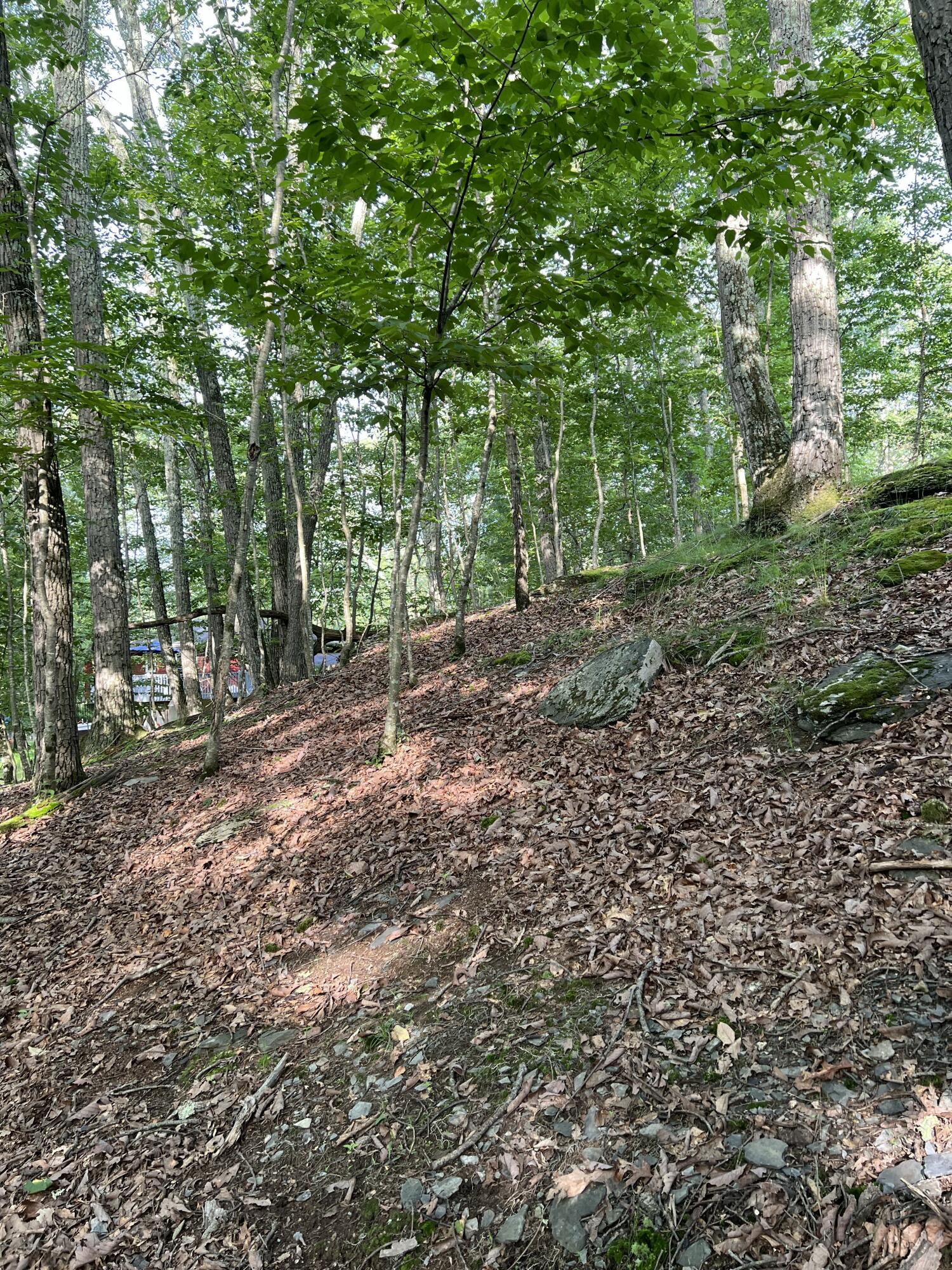Yukon Drive, Lot 11 Property Photo 2