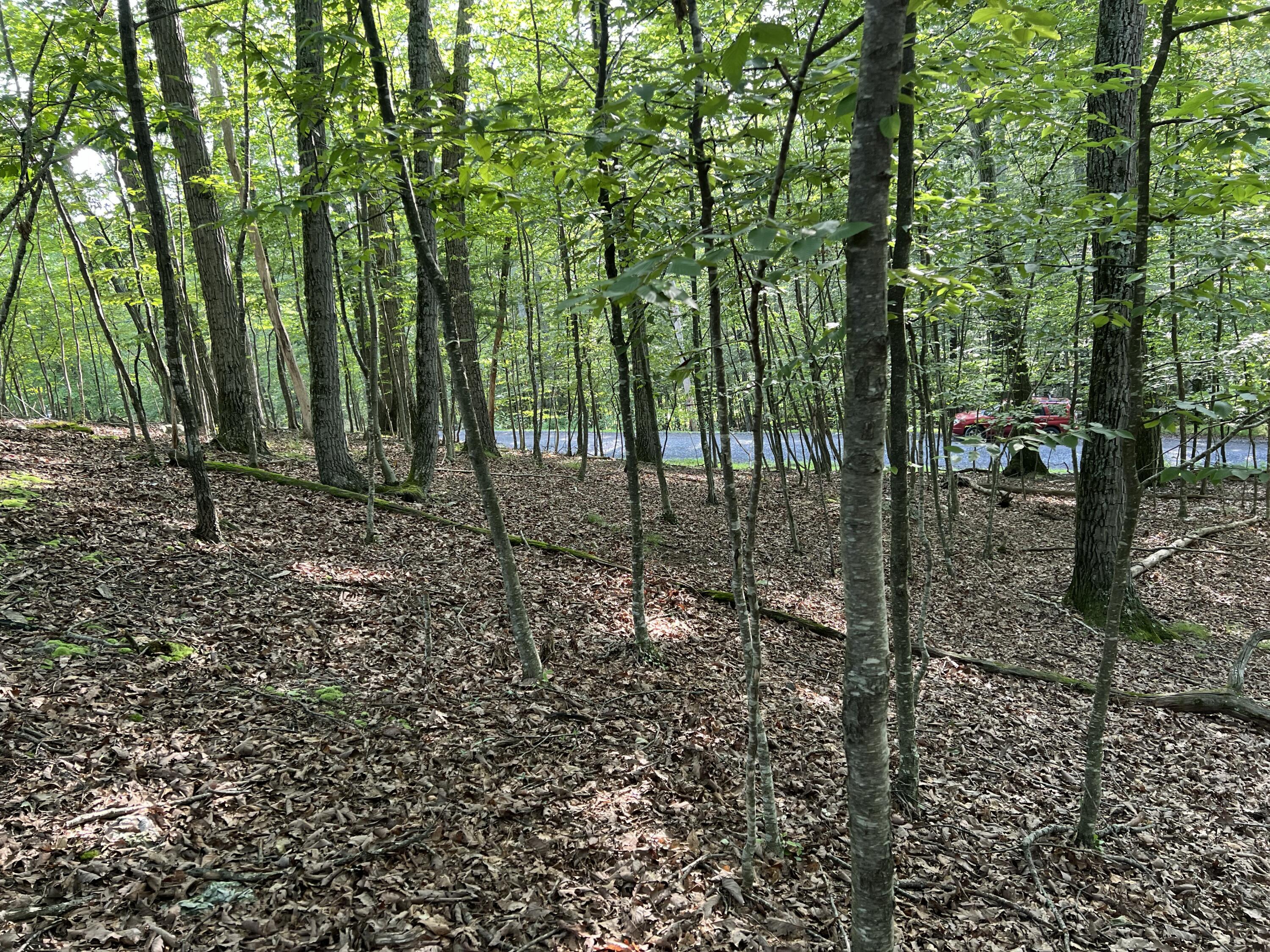 Yukon Drive, Lot 11 Property Photo 5