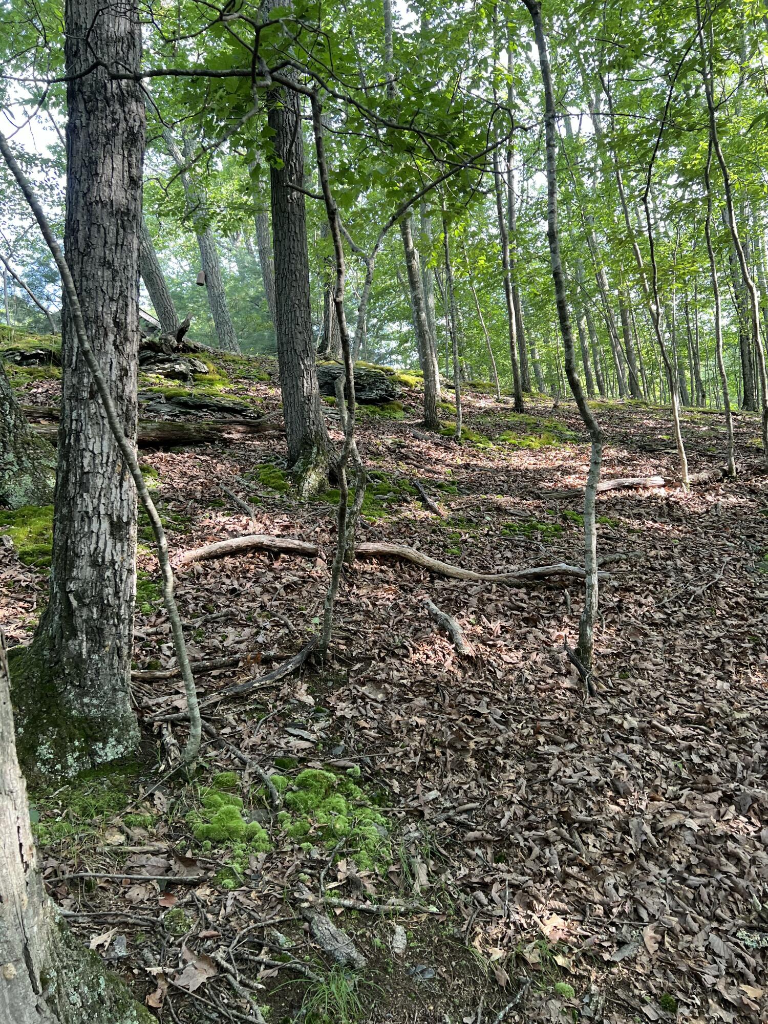 Yukon Drive, Lot 11 Property Photo 12