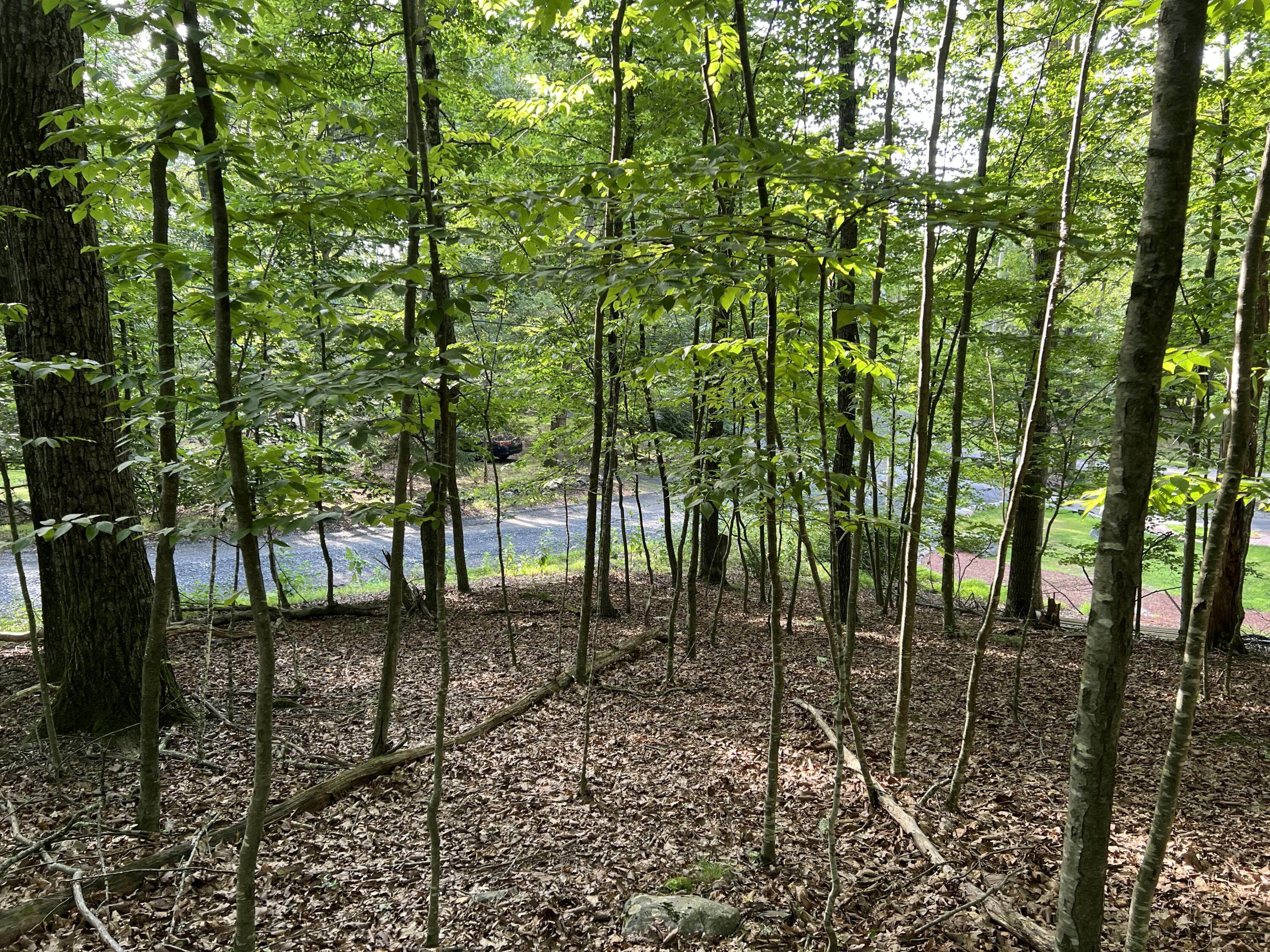 Yukon Drive, Lot 11 Property Photo 13