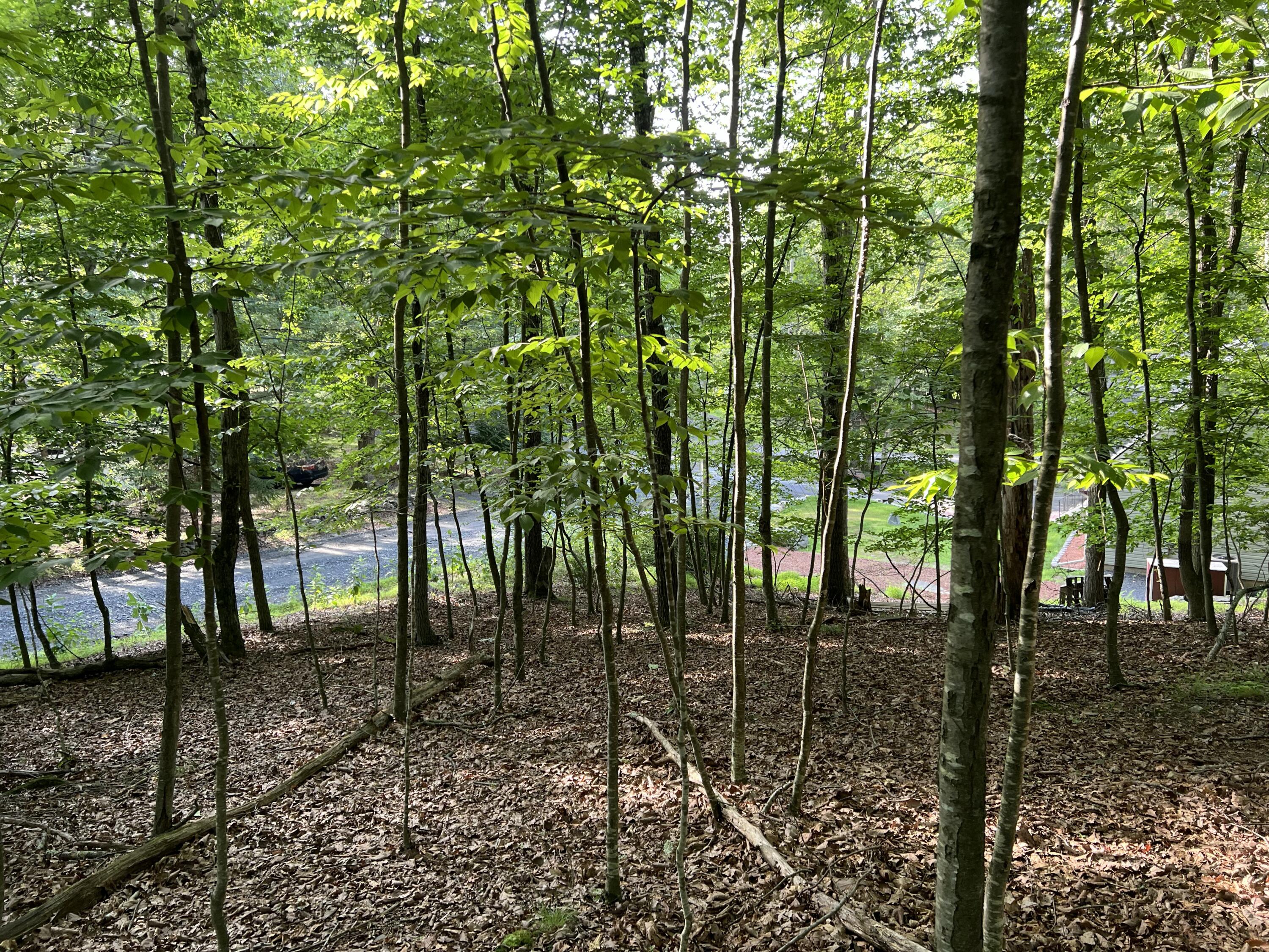 Yukon Drive, Lot 11 Property Photo 14