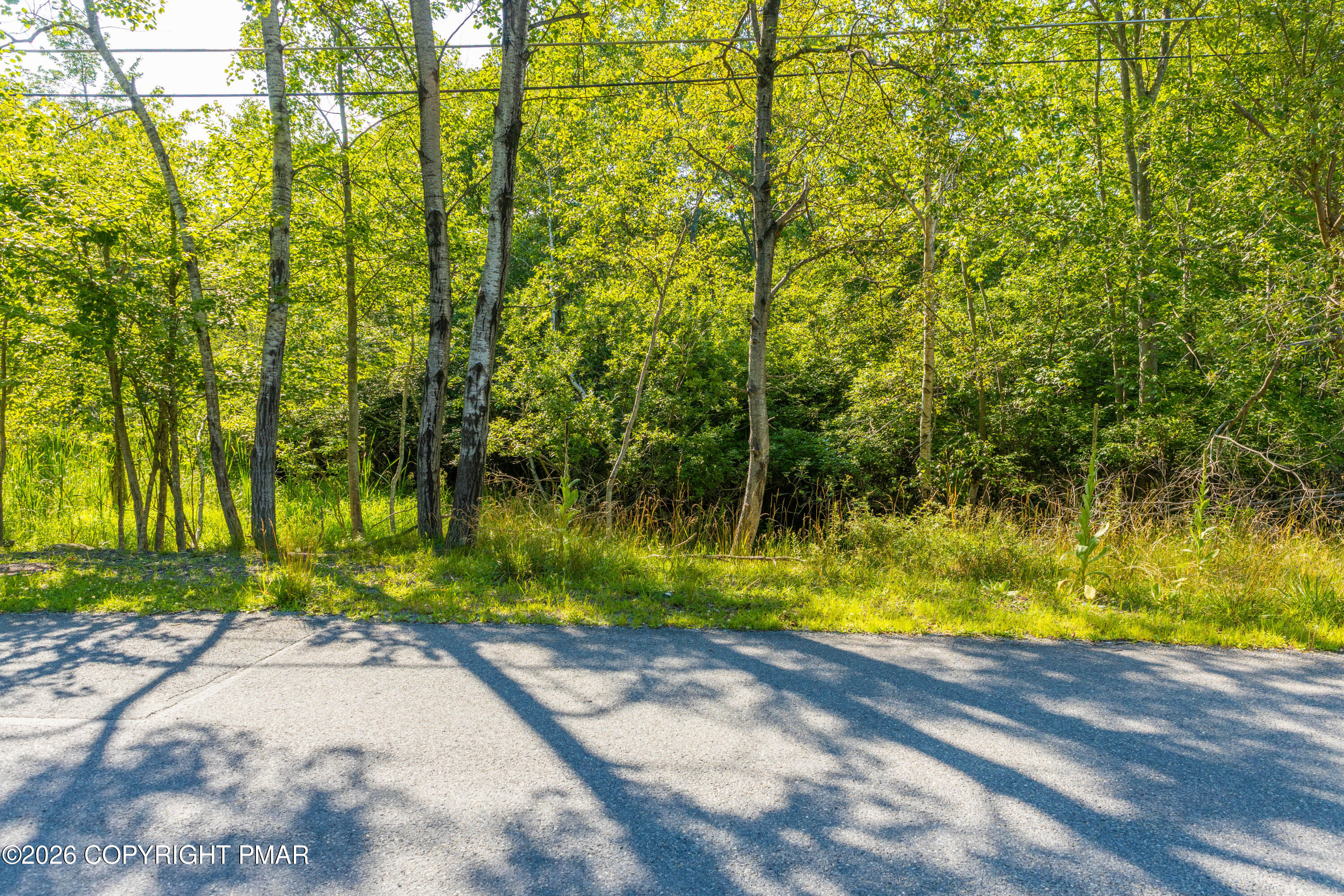 Bumble Bee Way 486 Way Property Photo 6