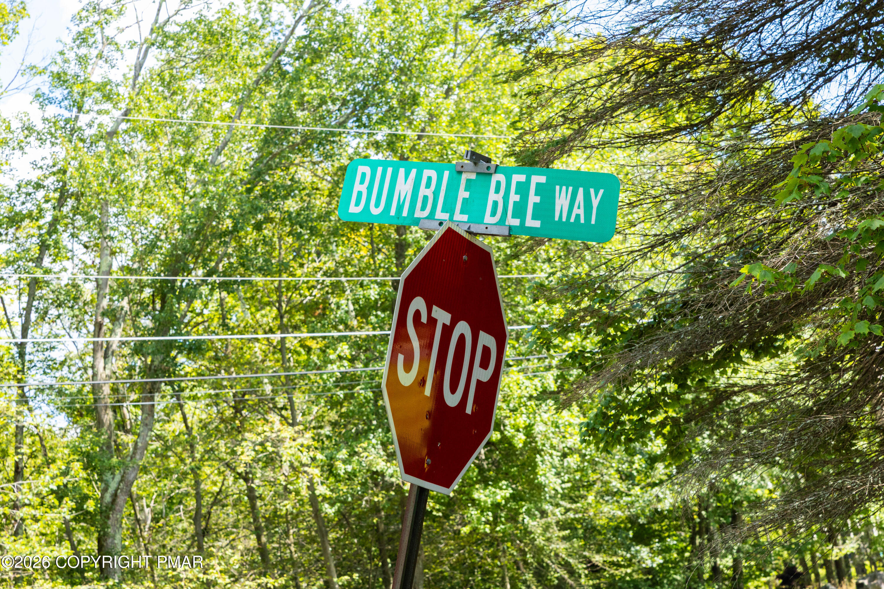 Bumble Bee Way 486 Way Property Photo 9