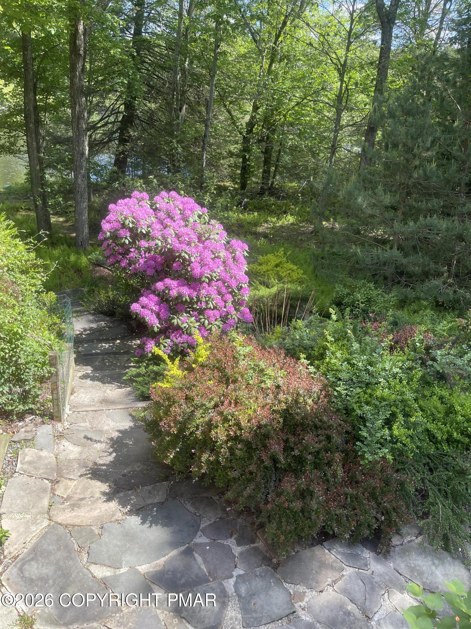 106 Butternut Lane Property Photo 59